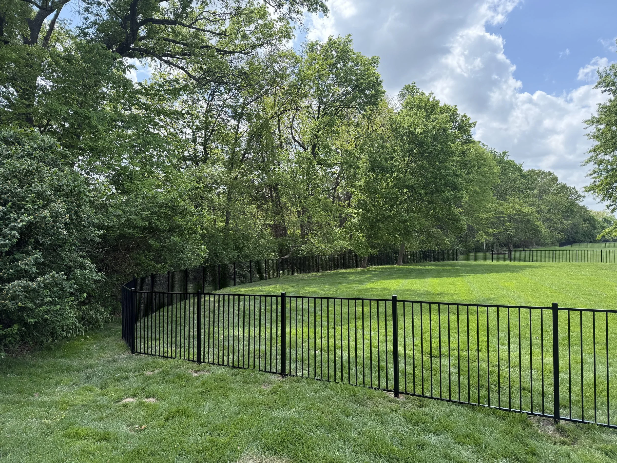 Black ornamental aluminum fence