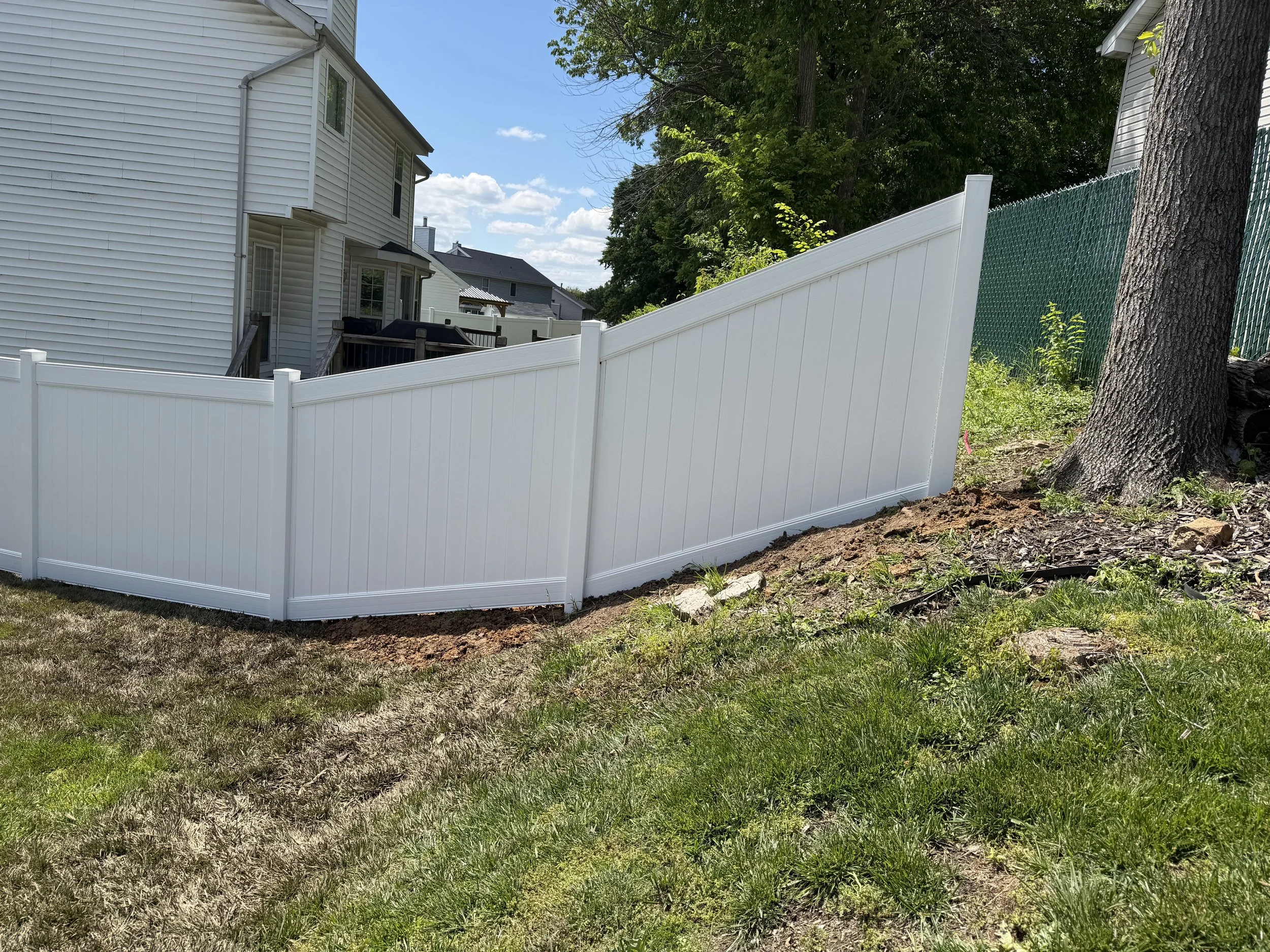 A backyard with a white vinyl fence, a mature tree, and a grassy area with patches of dirt. In the background, there are neighboring houses and a clear blue sky with some clouds.