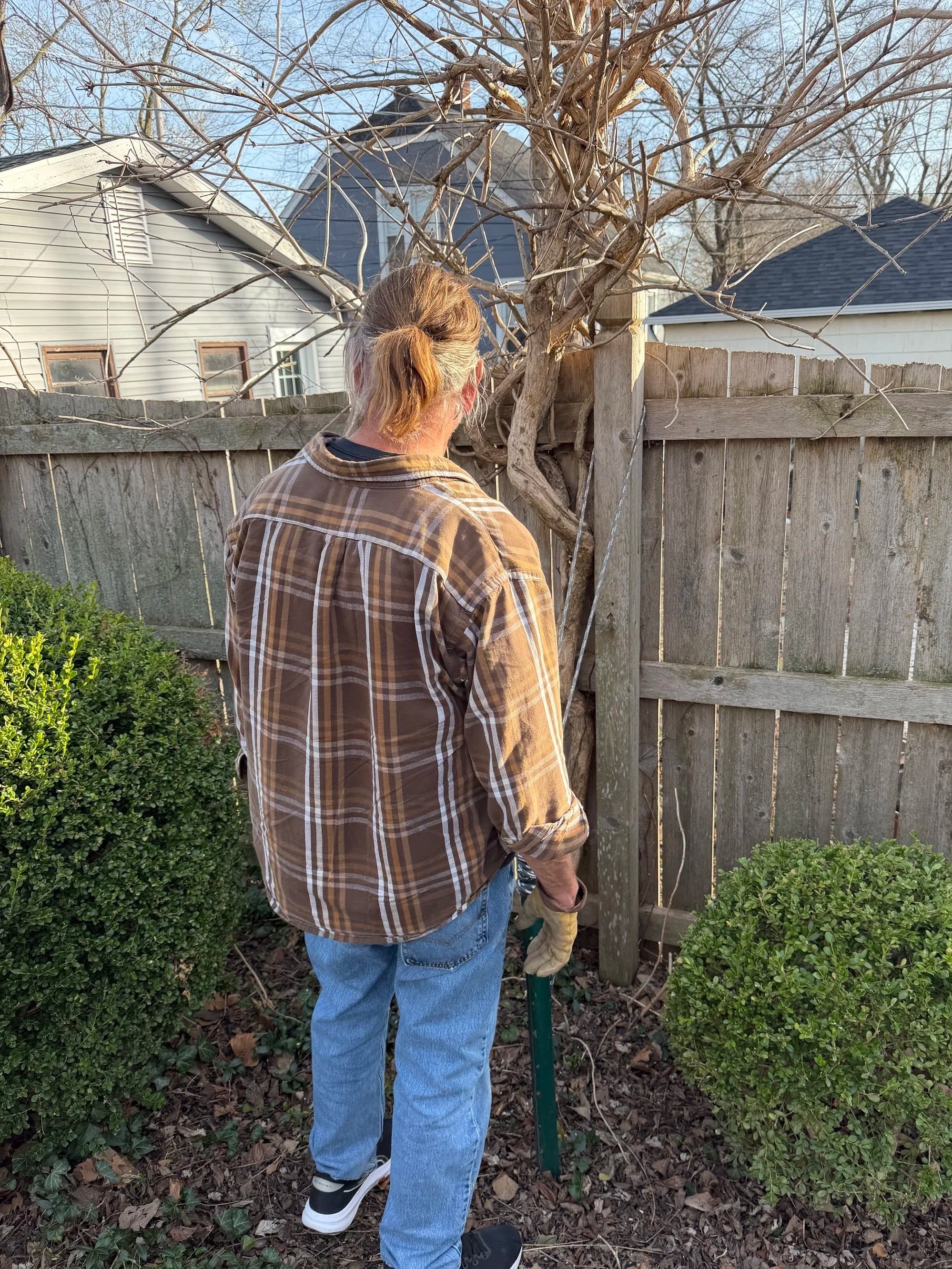 Old scalloped cedar privacy fence with leaning posts before replacement in St. Charles County