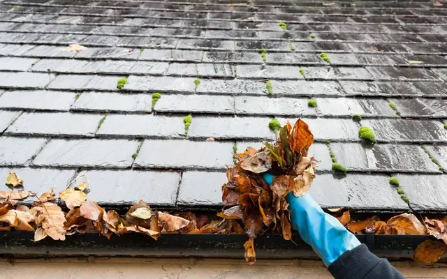 Gutter Cleaning / Whitening