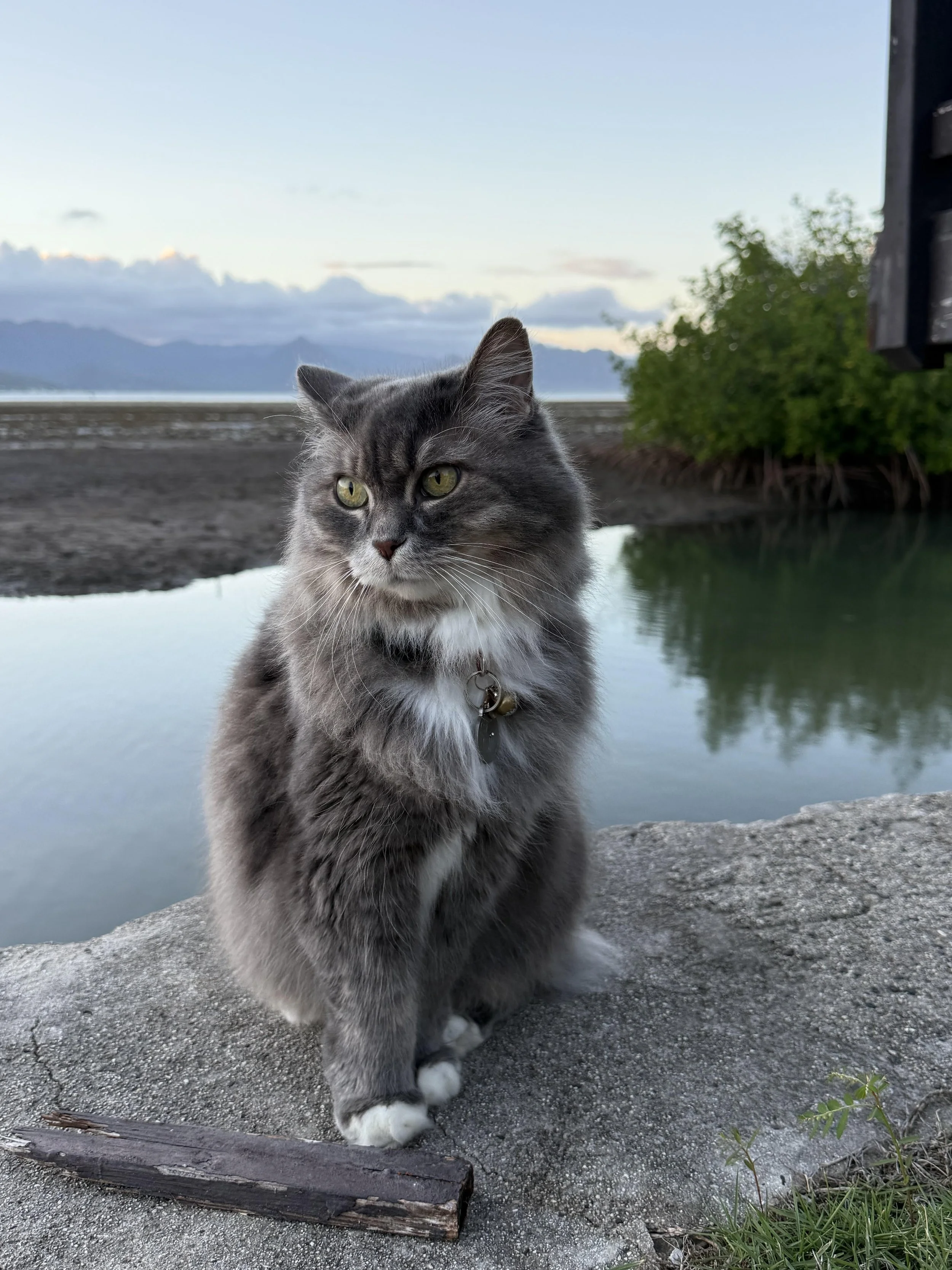 DInahkaneohebay2.jpg
