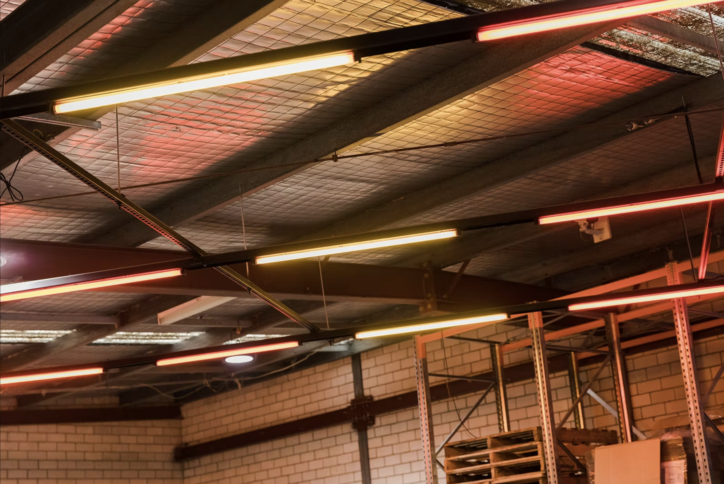 Project 33 | Yulli's Brewery