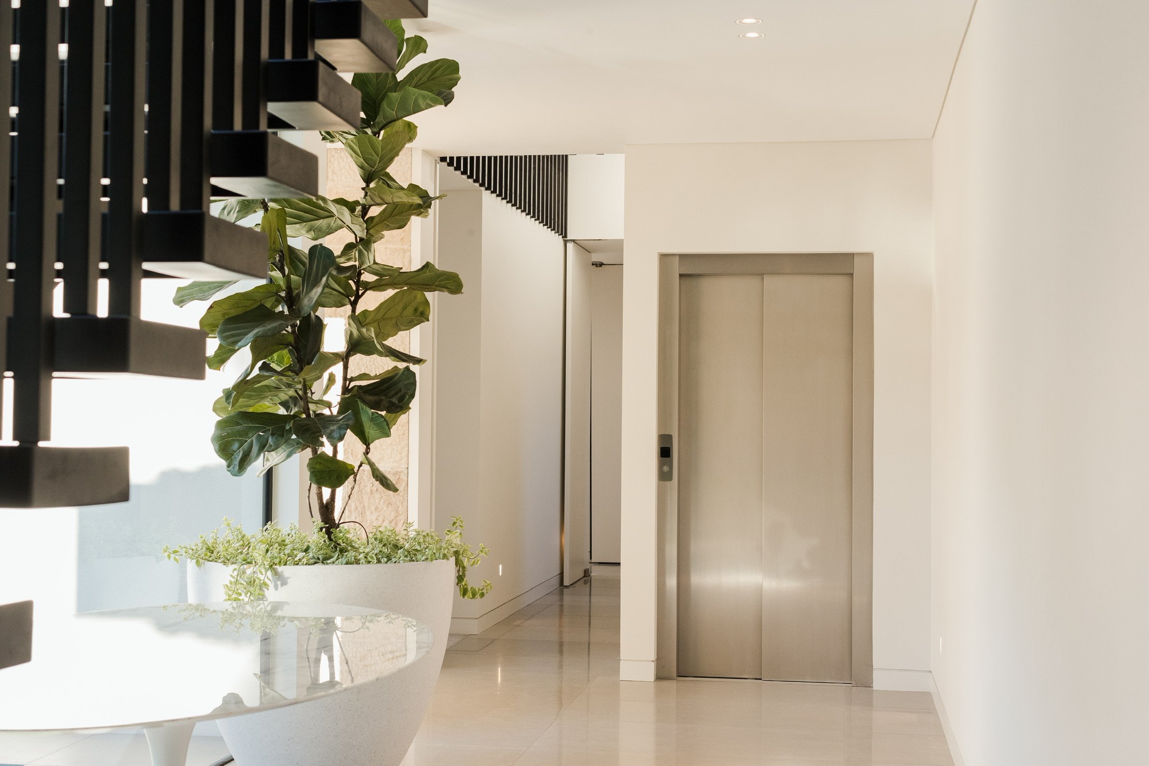 Project 65 | Mosman