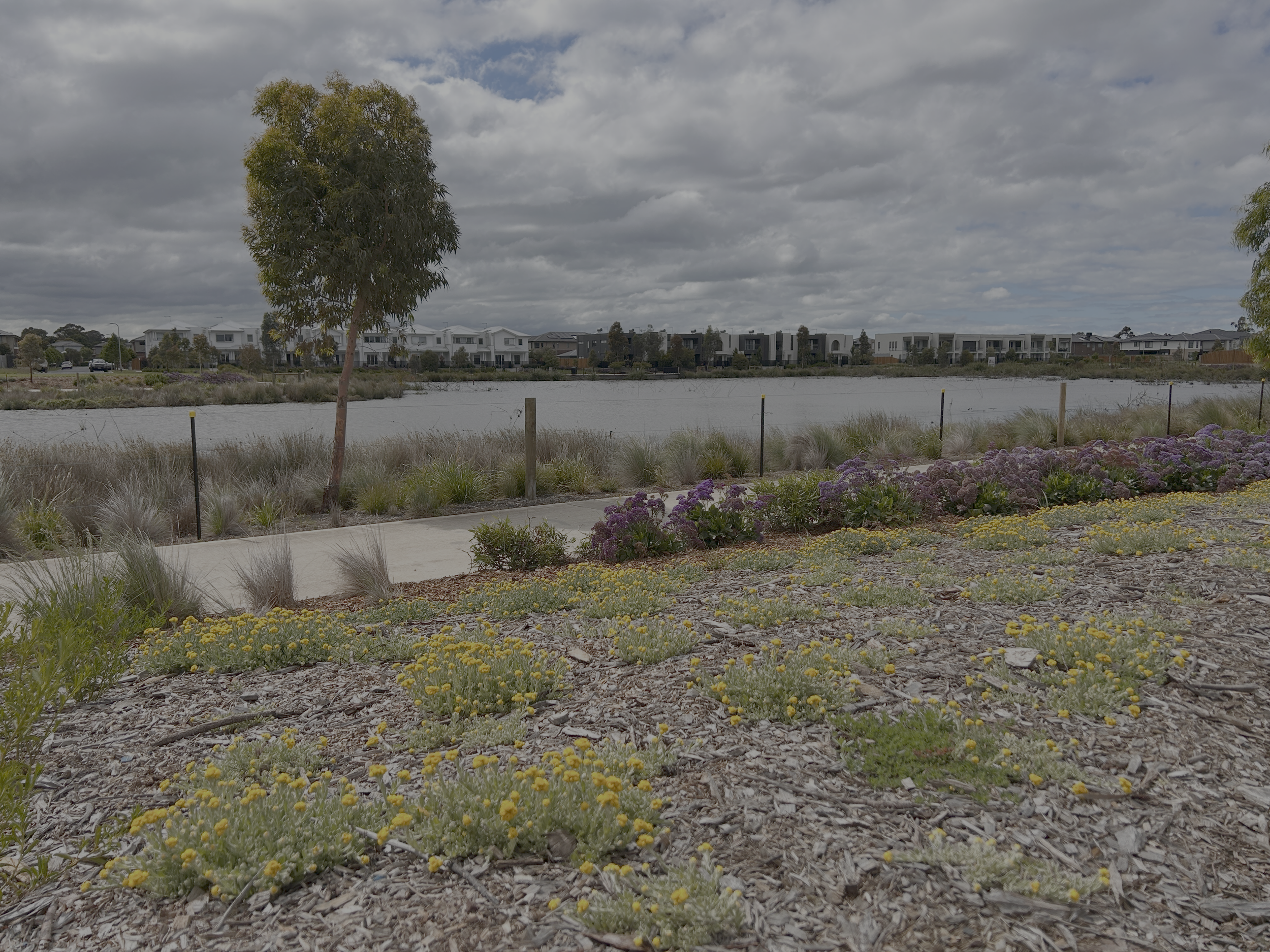 Parside Berwick Native Planting