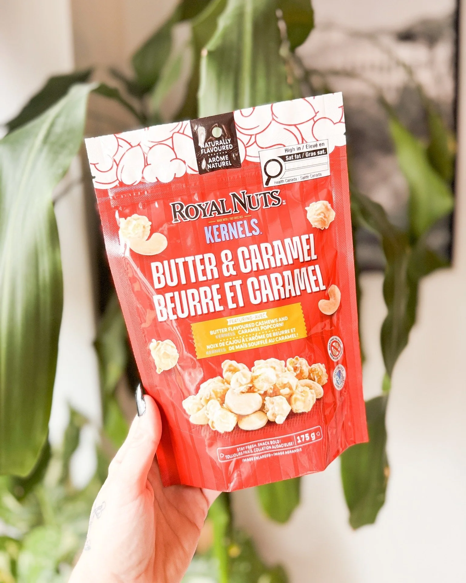 Hand holding a red bag of Royal Nuts Kernel Butter and Caramel Corn against a backdrop of green plant leaves.