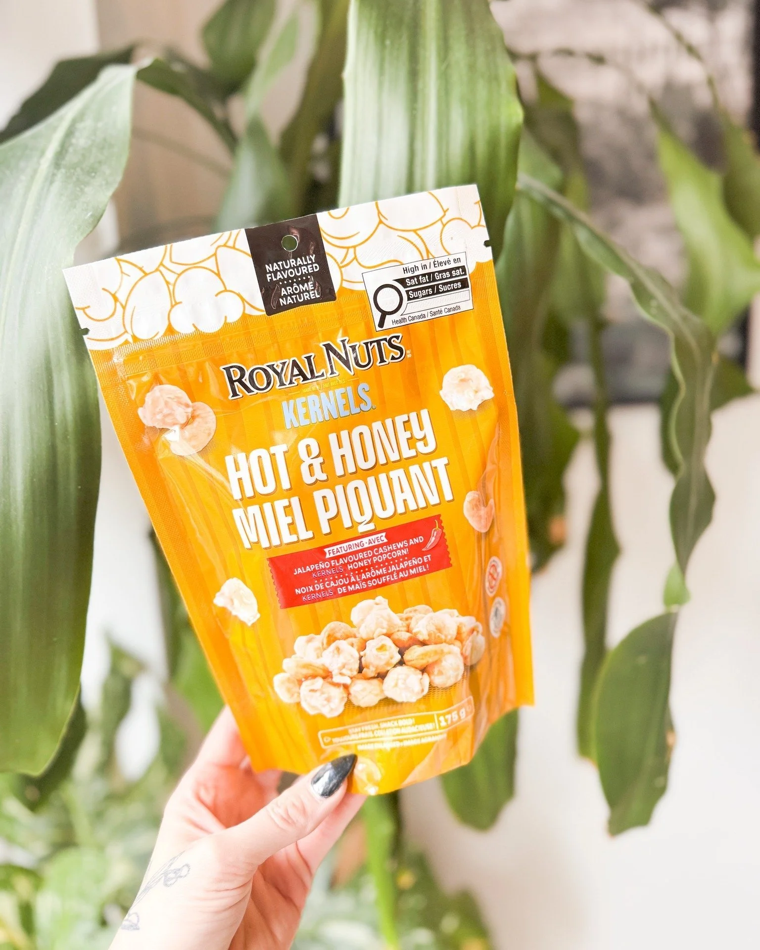 A hand holding a brightly colored bag of Royal Nuts Kernels Hot & Honey flavored popcorn in front of a large green leafy plant.
