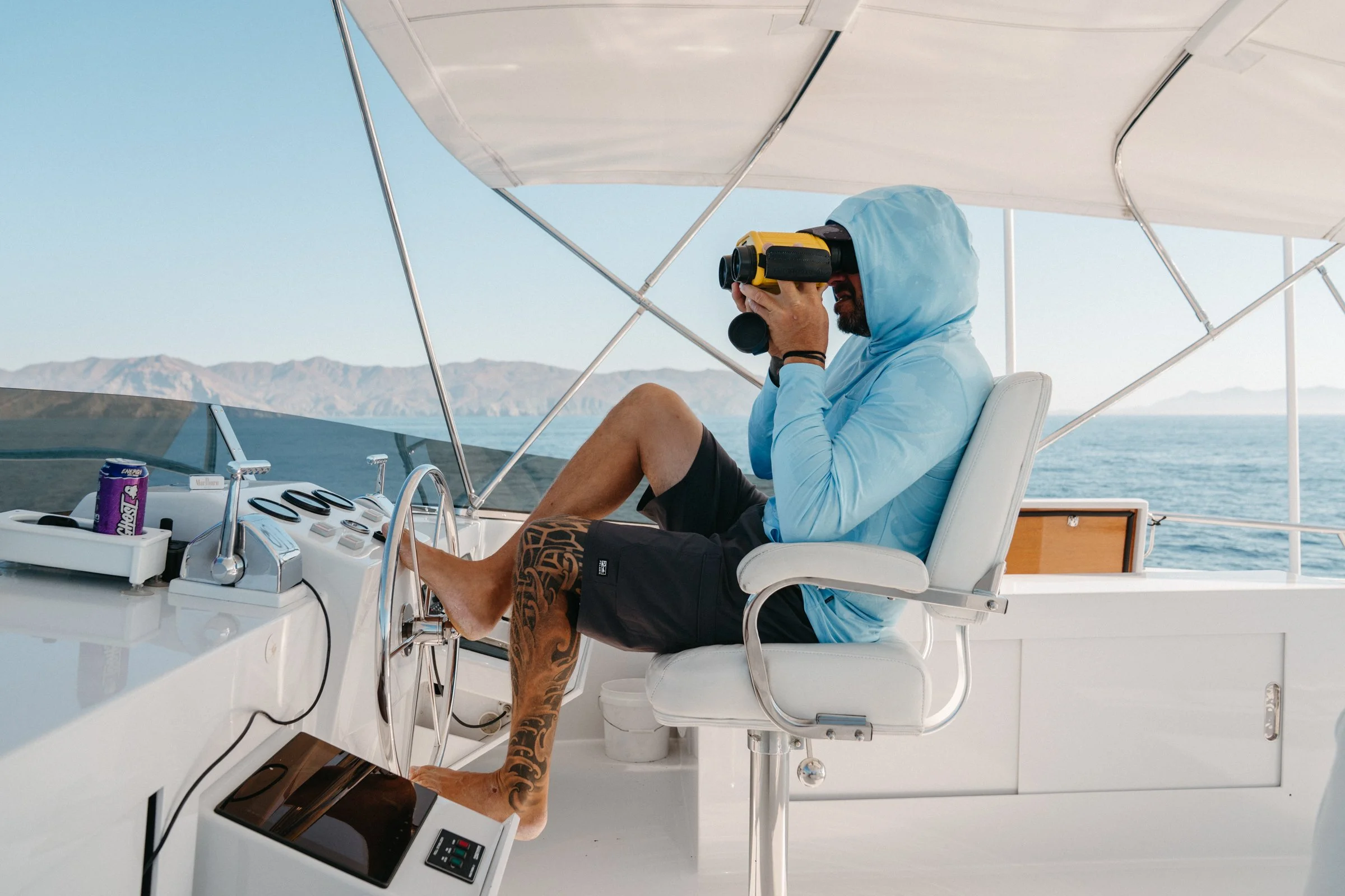 The key to Mag Bay, birds.