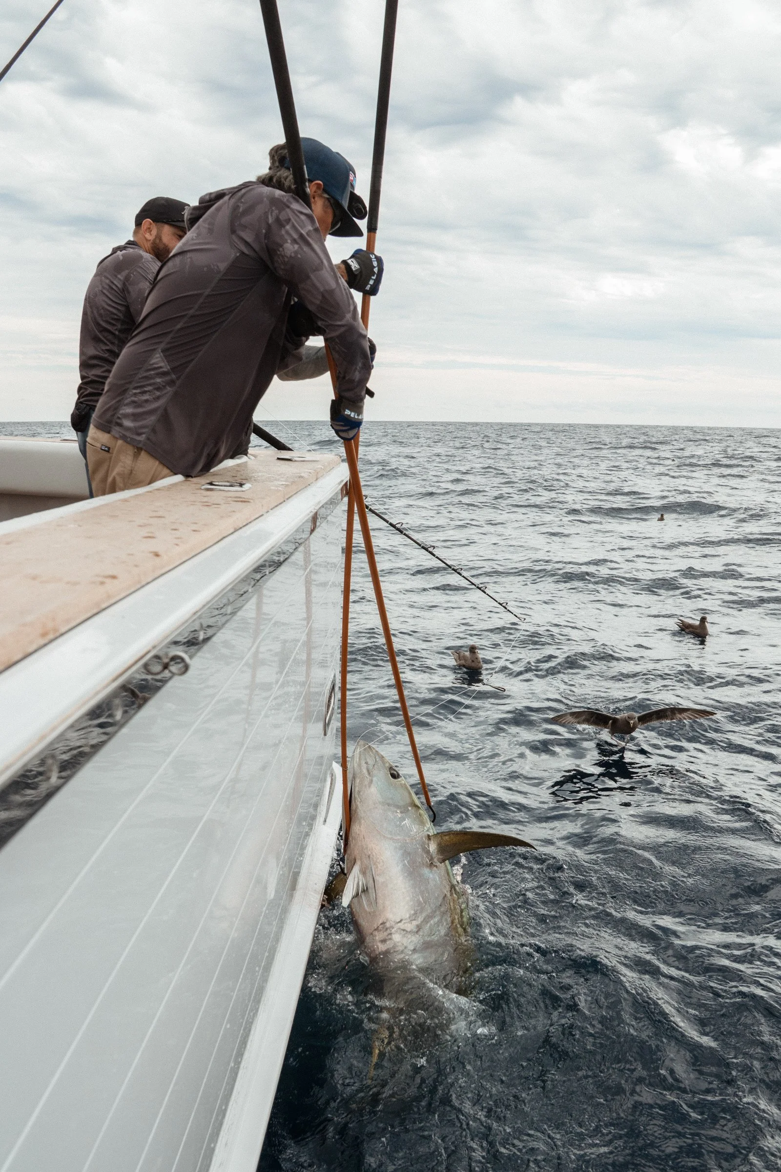 Yellowfin #1 coming on deck
