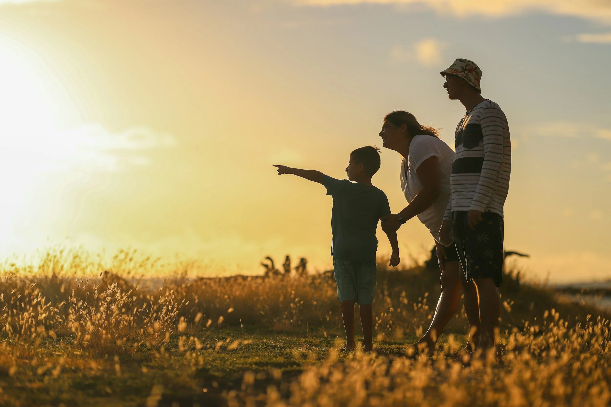 A family of four standing in a field at sunset, with the youngest child pointing towards the sky.