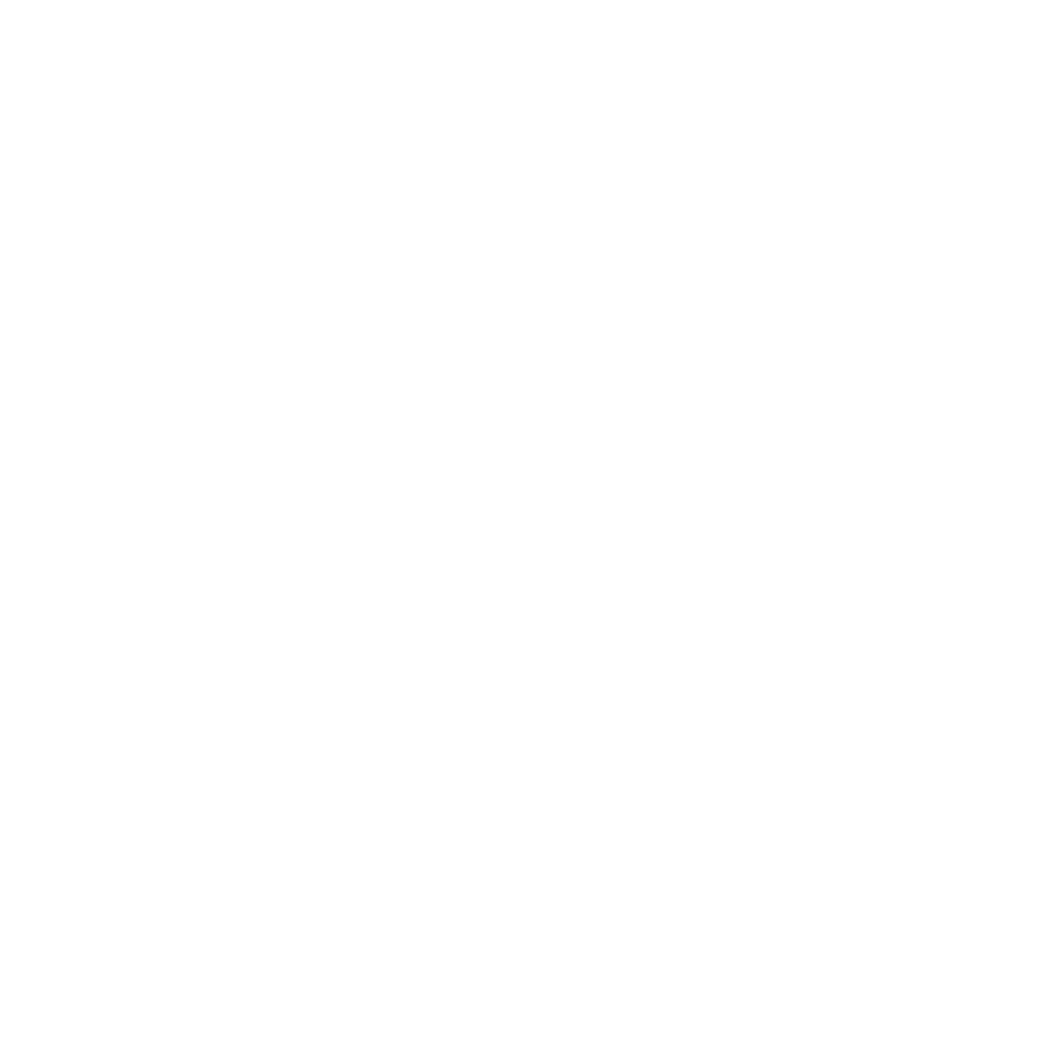 THE BESPOKE BEAN