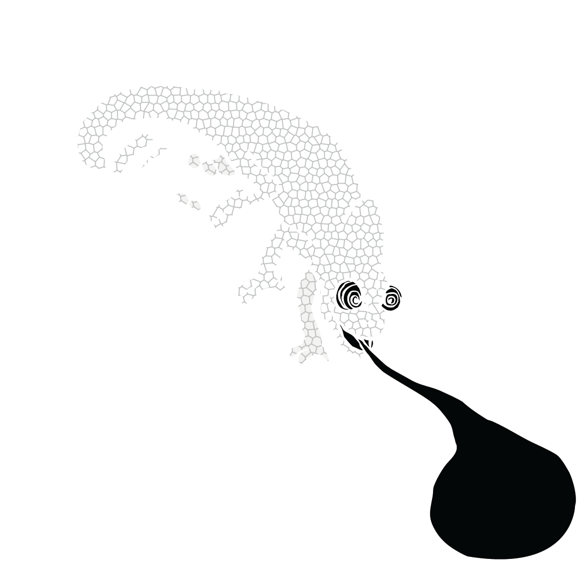 ELAN CHROMA