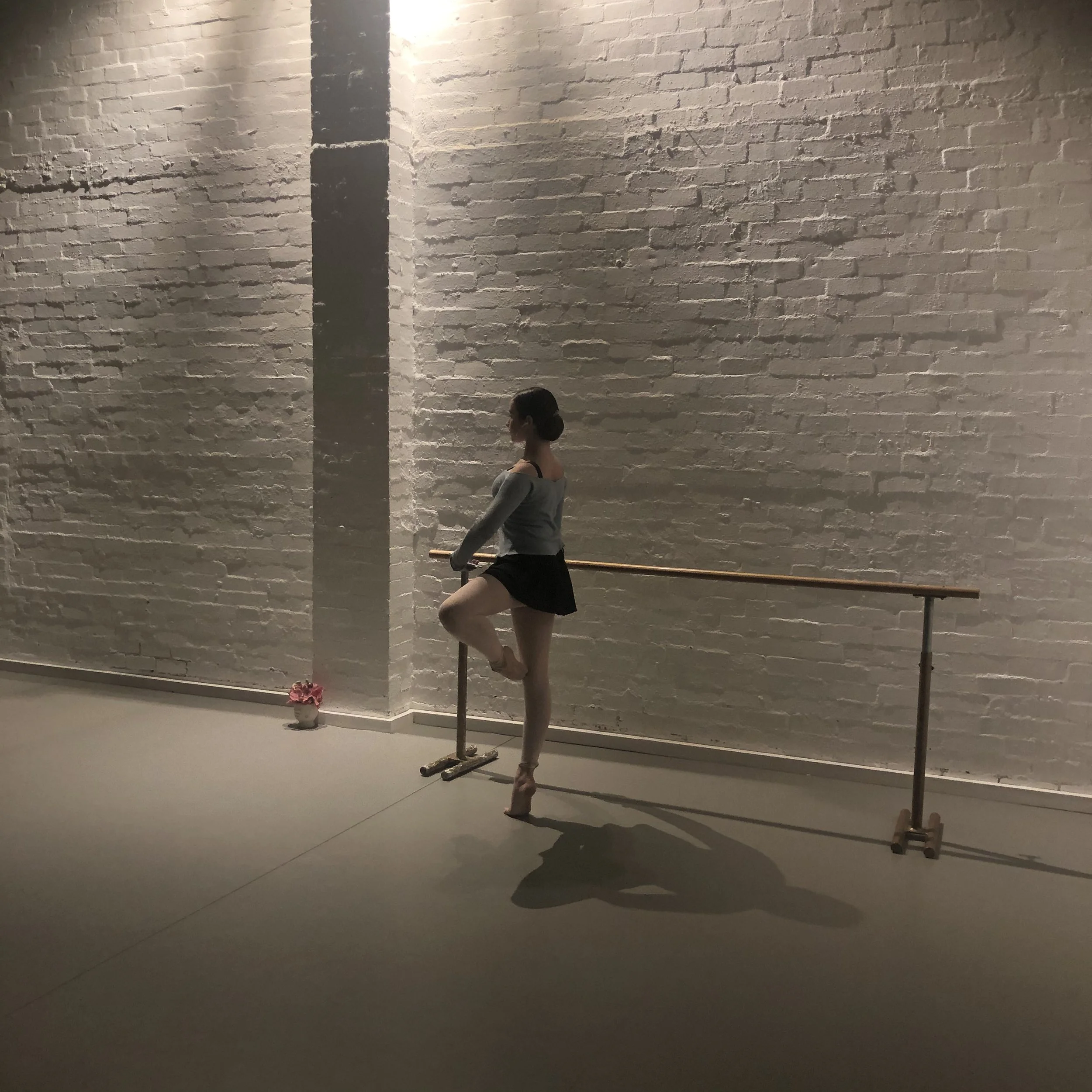 A ballet dancer practicing at a barre in front of a white brick wall, wearing a gray top, black shorts, and pink ballet slippers, with her hair in a bun and a potted plant on the floor beside her.