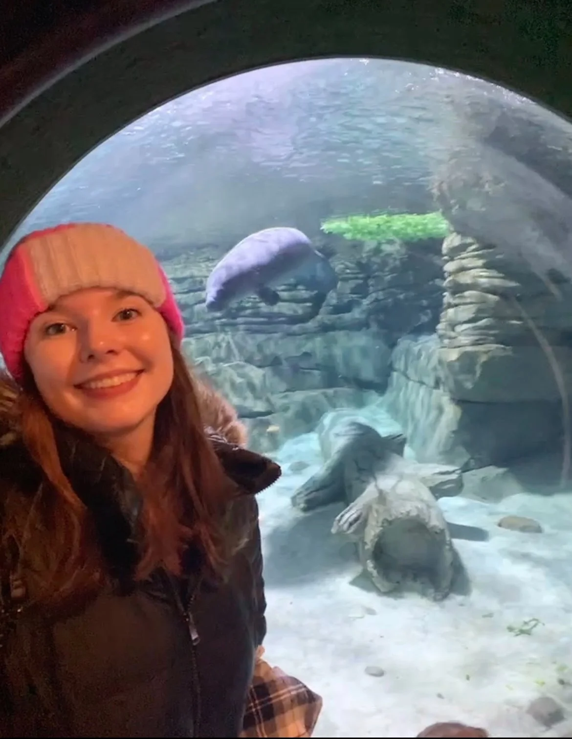 Person wearing a winter hat and jacket smiling in front of a large aquarium tank with a manatee swimming behind the glass.