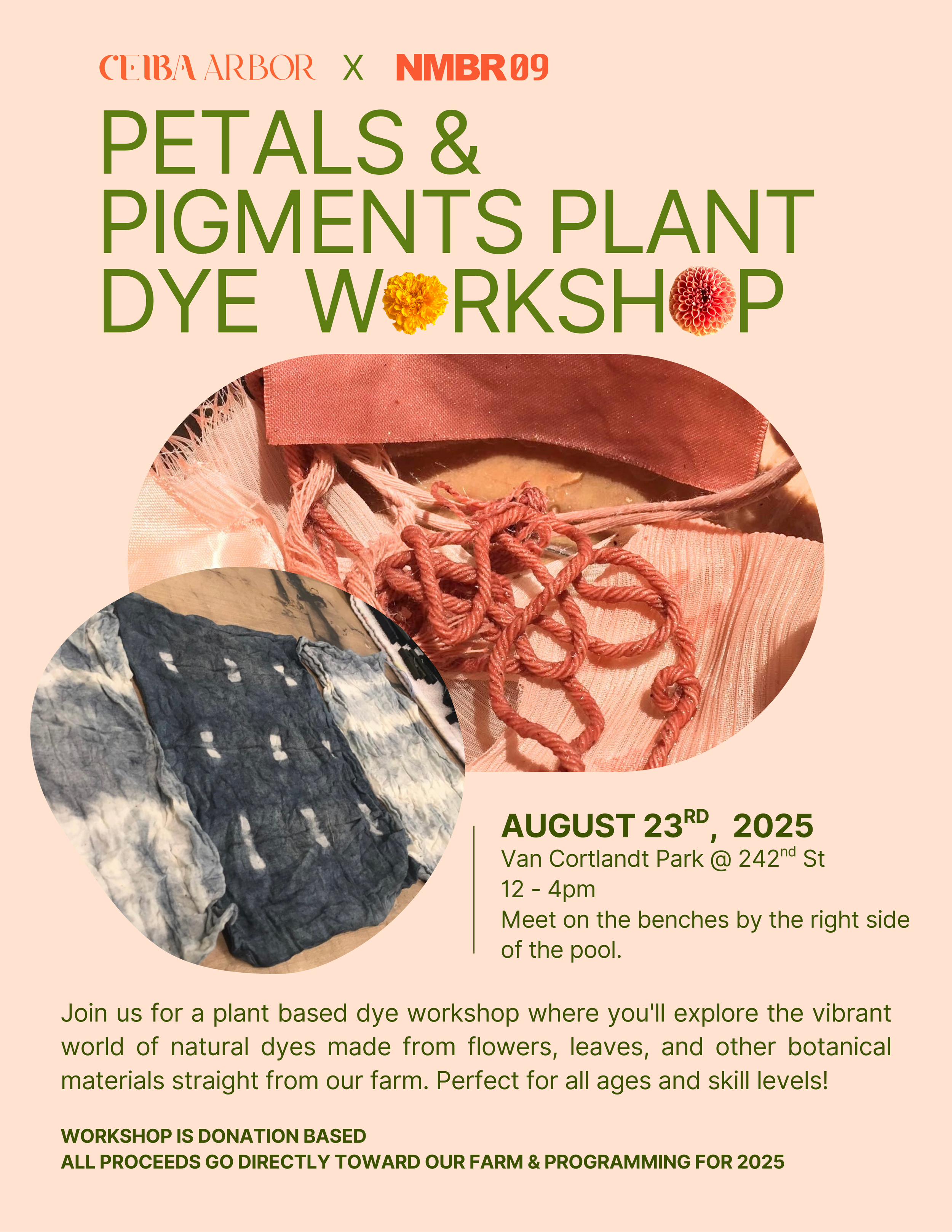 Plant Dye Workshop