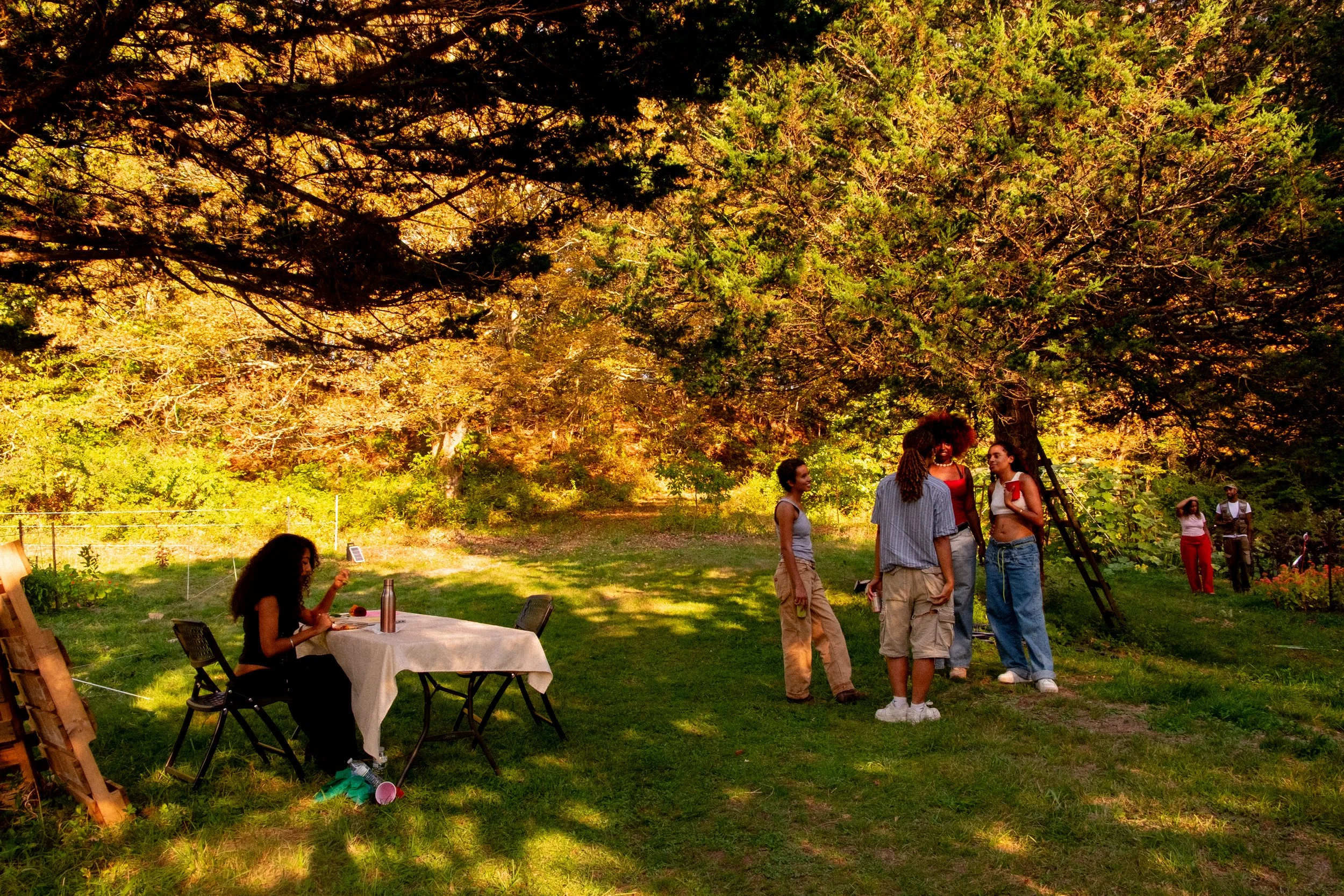 Harvest Festival 2025-067.jpg