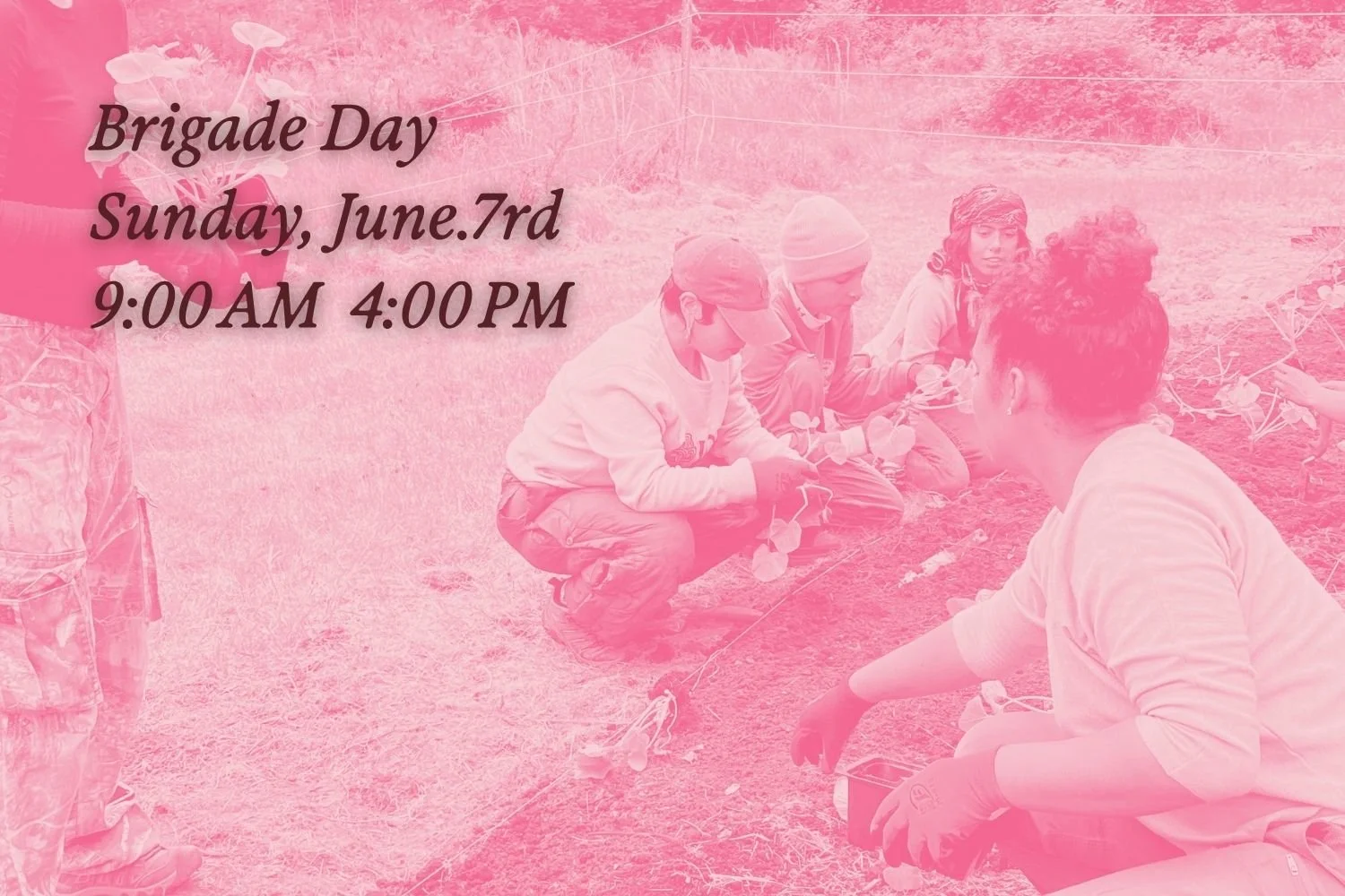 Brigade Day