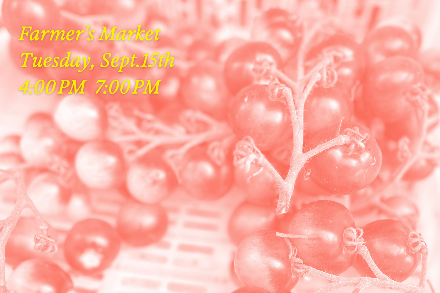 West End Farmer's Market