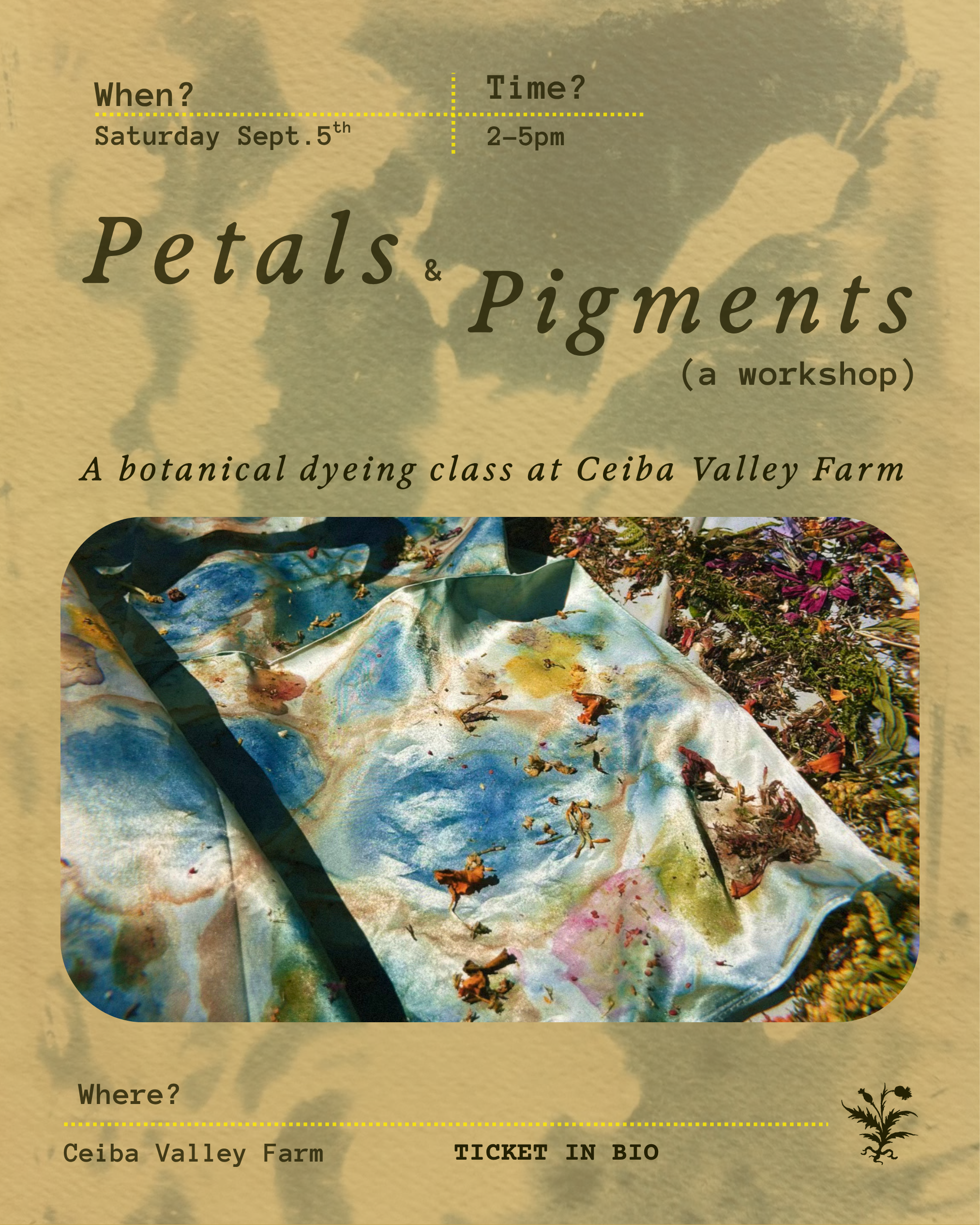 Petals &amp; Pigments : A Botanical Dye Workshop at Ceiba Valley Farm