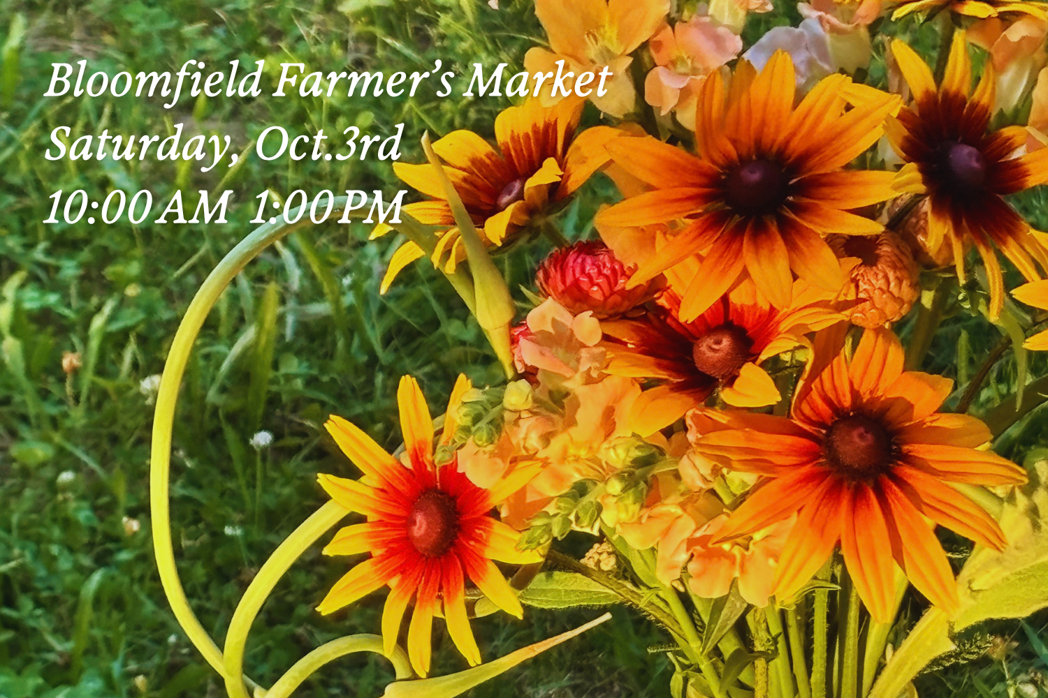 Bloomfield Farmer’s Market 