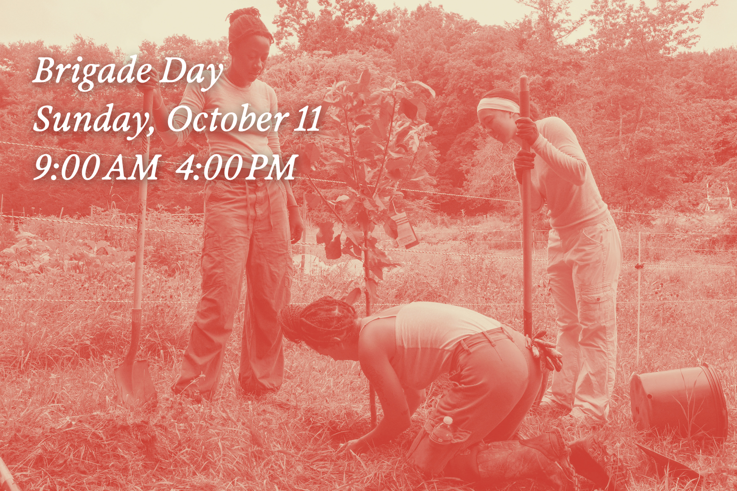 Brigade Day