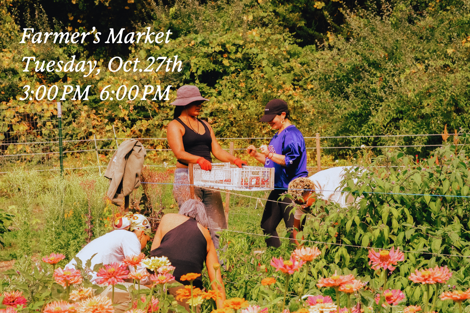 West End Farmer's Market