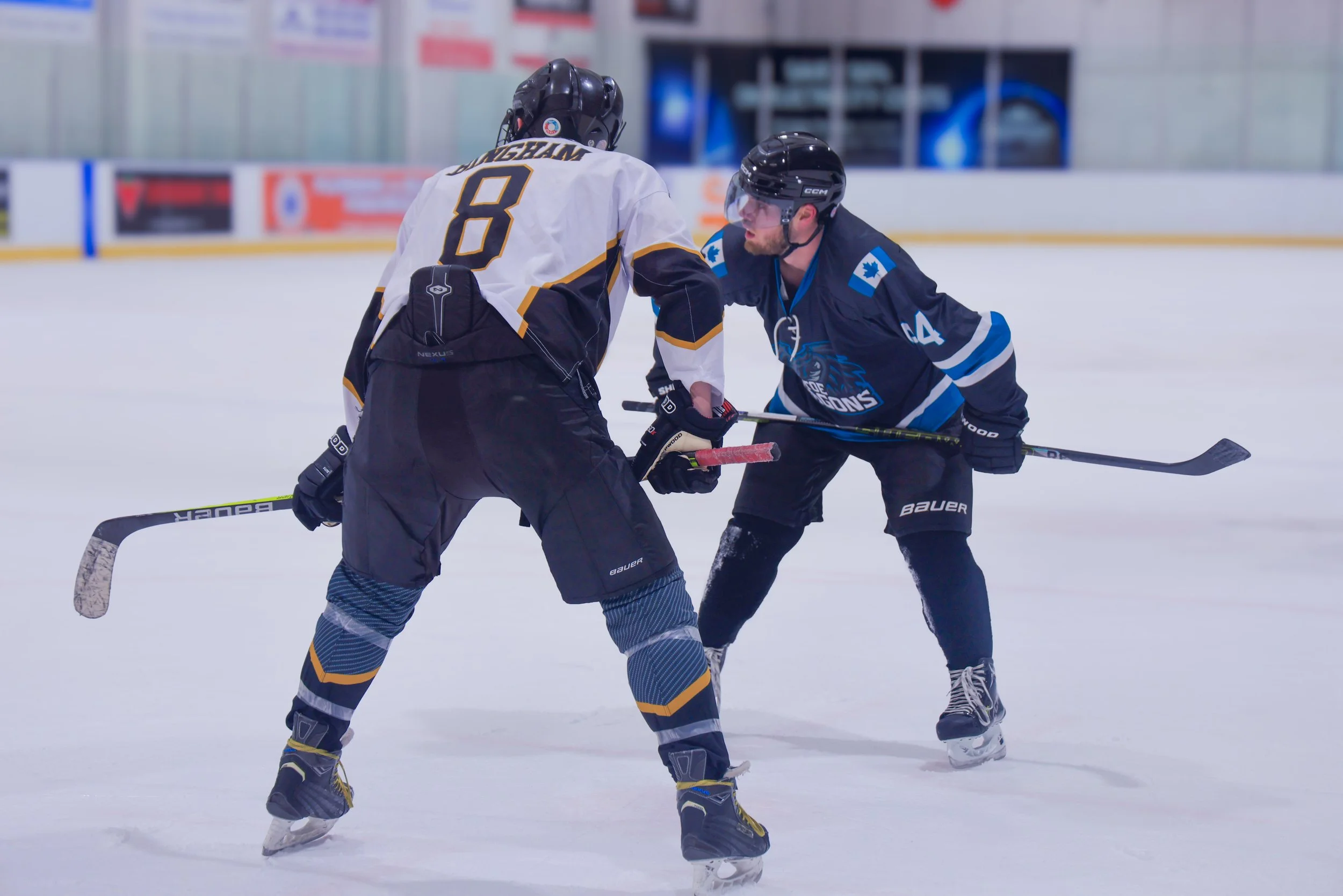 Canon EOS R6 Mark II

24-105

Adobe Lightroom