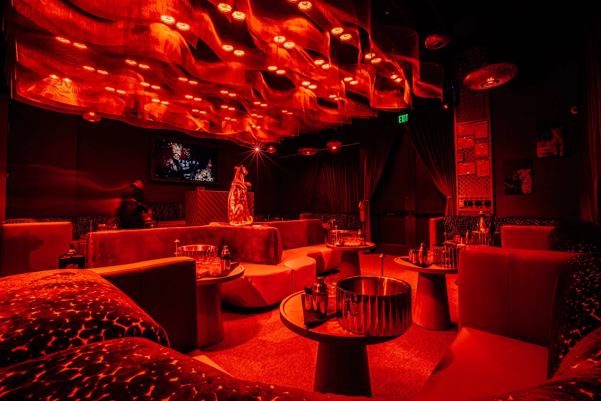 FELINA 23 April 2026 VENUE pics  (2).jpg