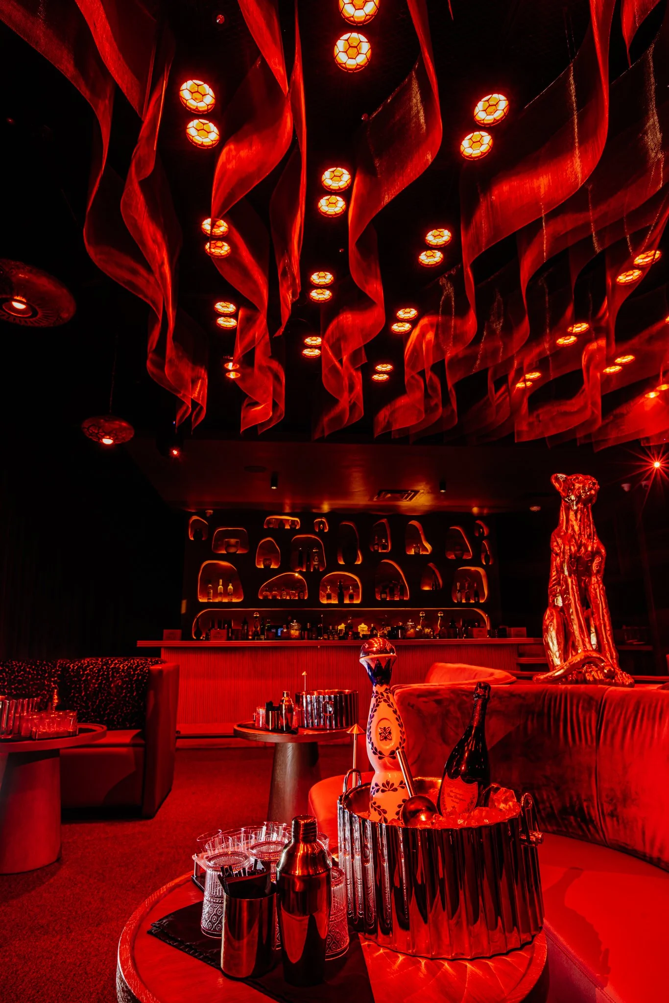 FELINA 23 April 2026 VENUE pics  (18).jpg