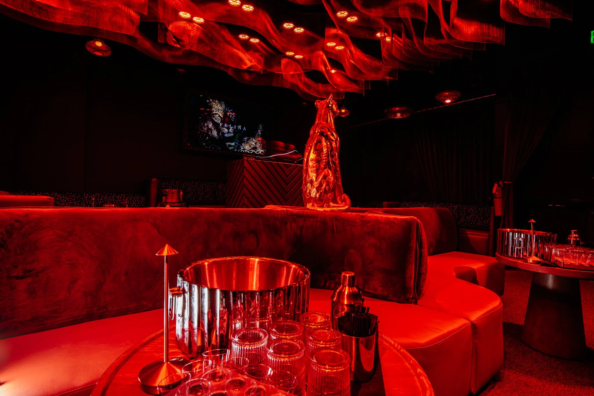FELINA 23 April 2026 VENUE pics  (9).jpg