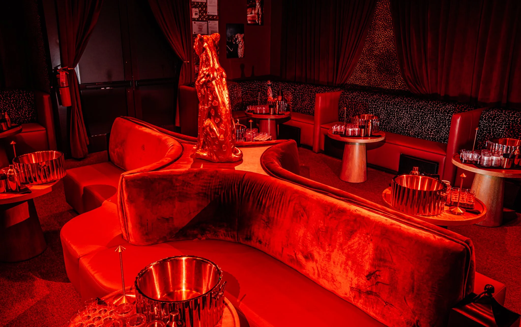 FELINA 23 April 2026 VENUE pics  (6).jpg