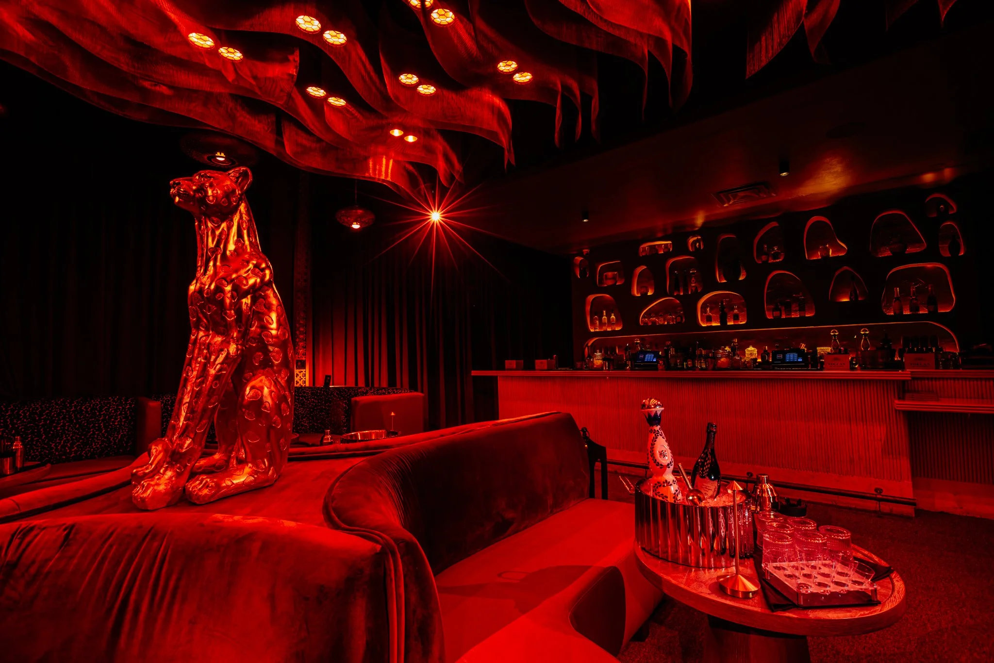 FELINA 23 April 2026 VENUE pics  (20).jpg