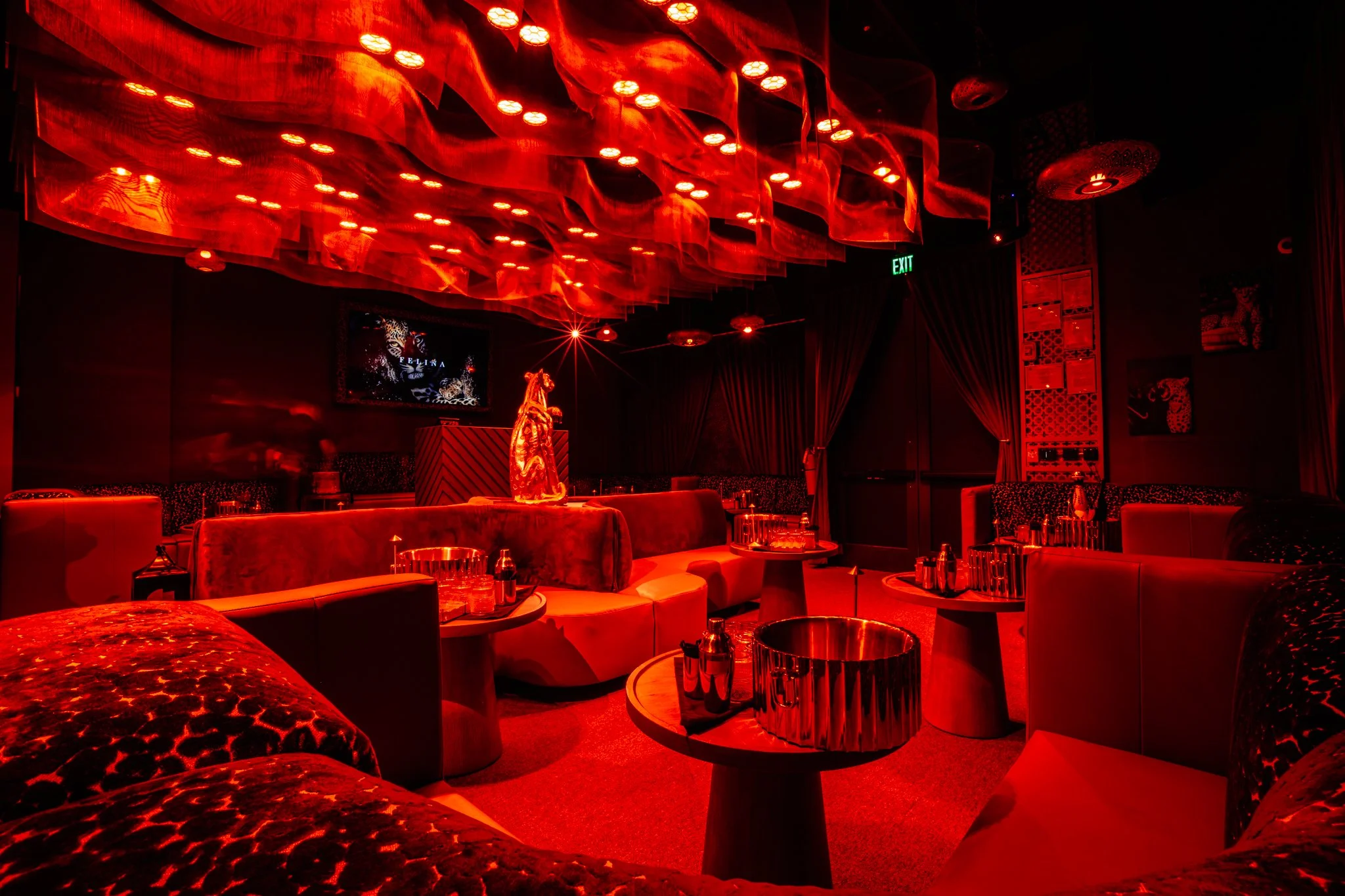 FELINA 23 April 2026 VENUE pics  (3).jpg