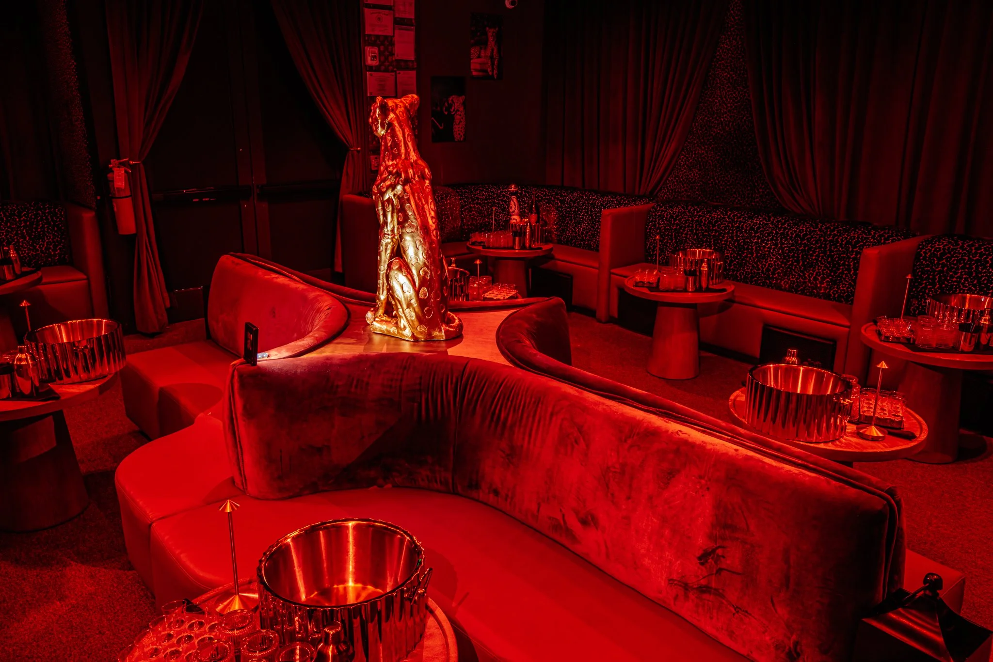 FELINA 23 April 2026 VENUE pics  (5).jpg