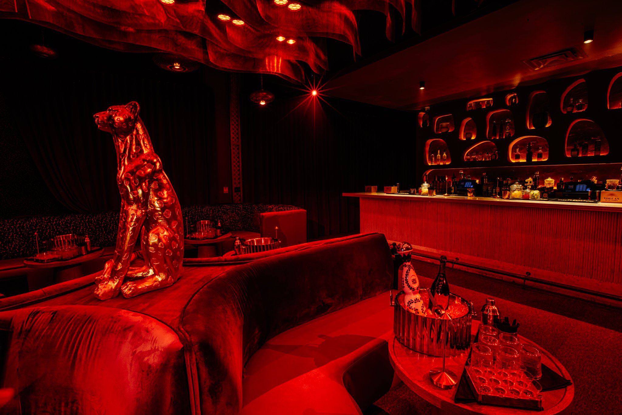 FELINA 23 April 2026 VENUE pics  (32).jpg