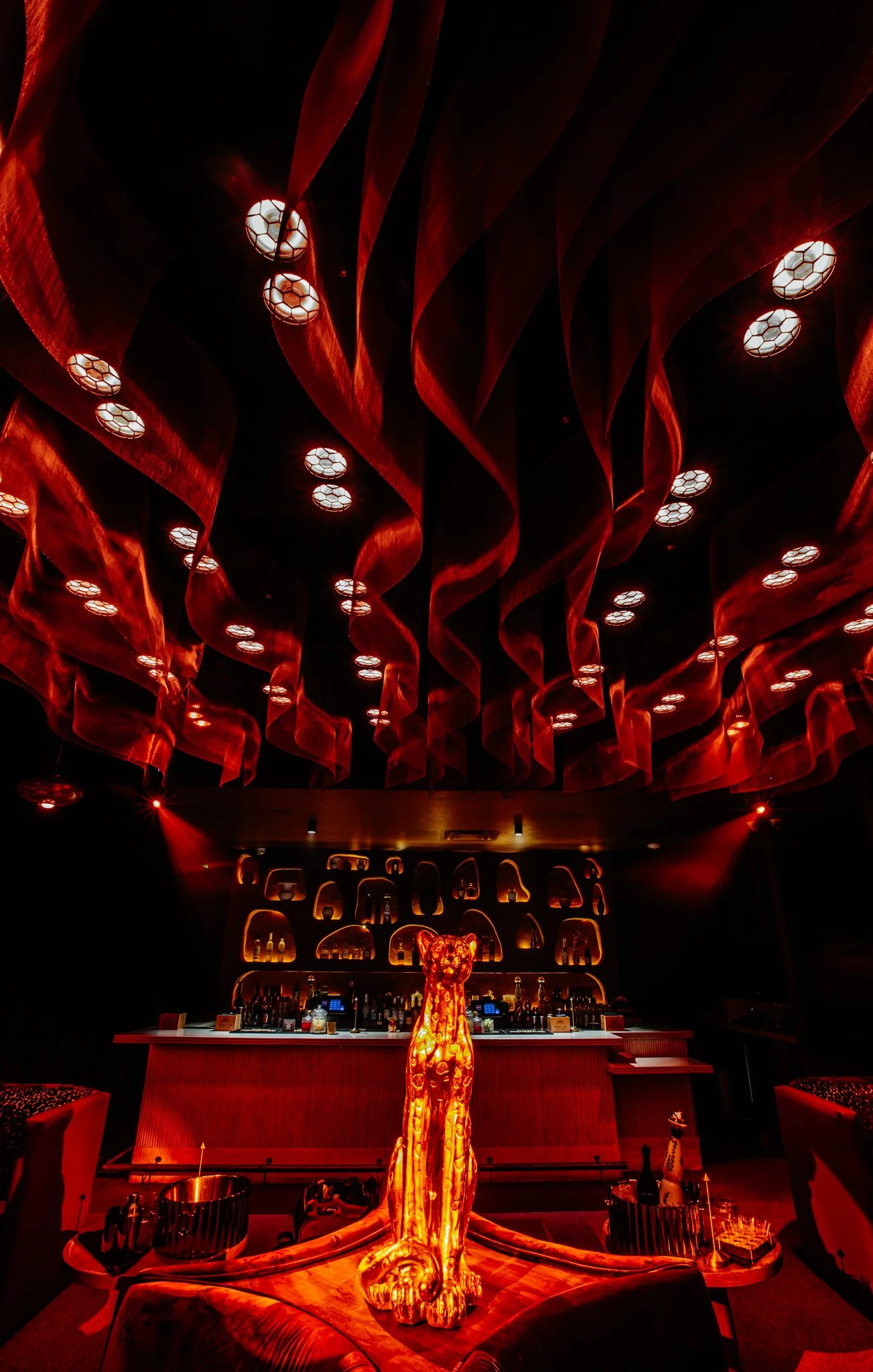 FELINA 23 April 2026 VENUE pics  (47).jpg