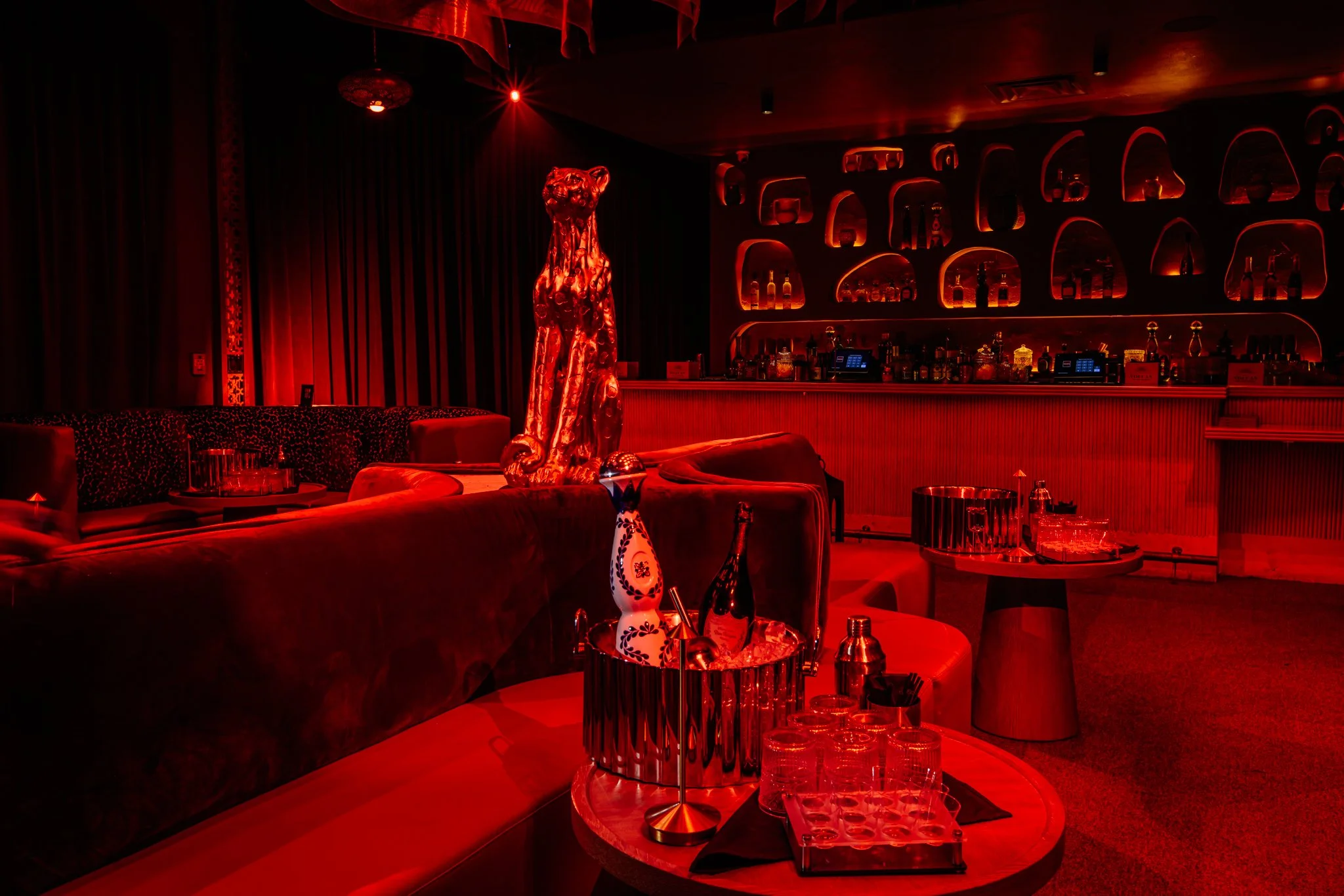 FELINA 23 April 2026 VENUE pics  (21).jpg