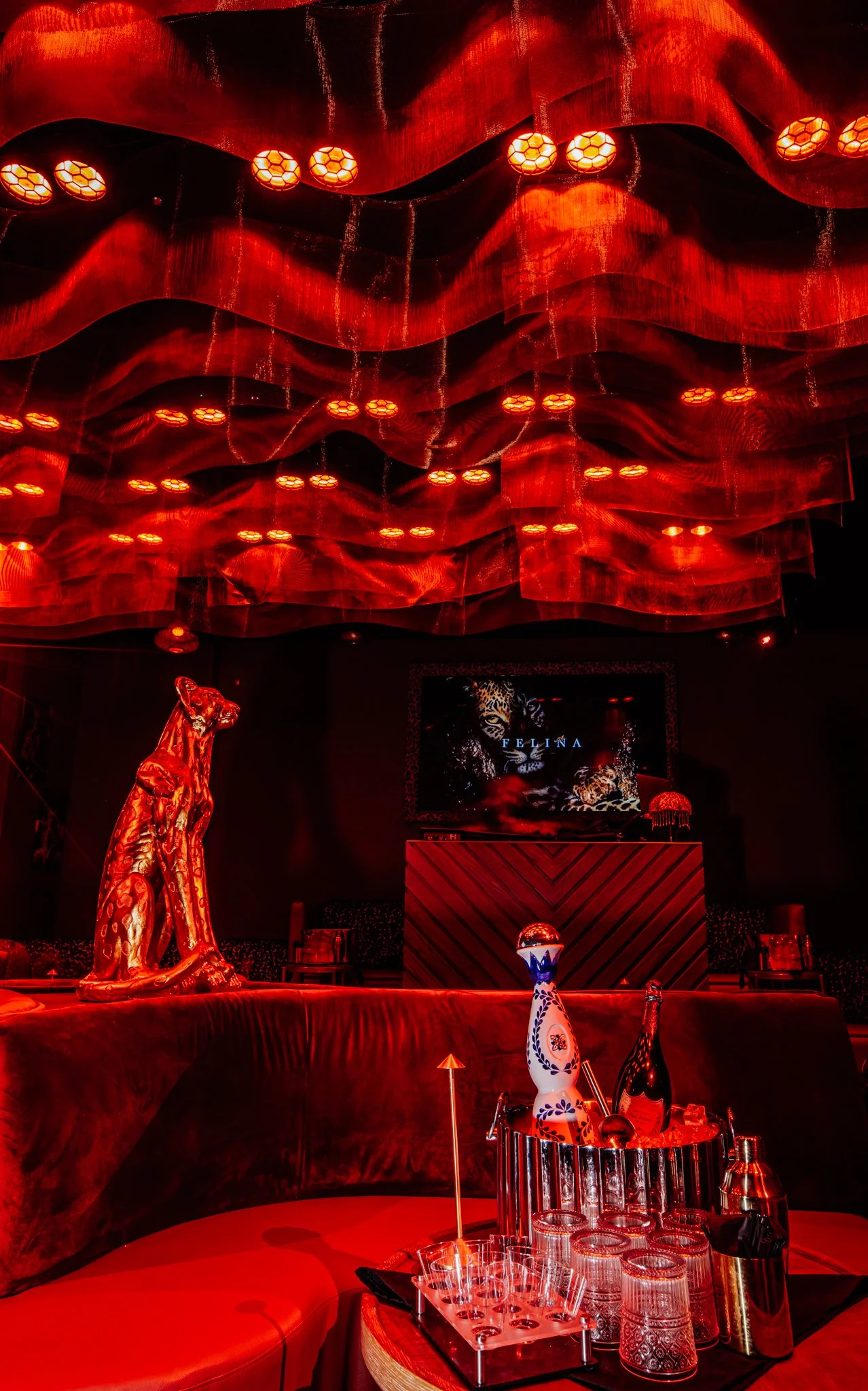 FELINA 23 April 2026 VENUE pics  (19).jpg