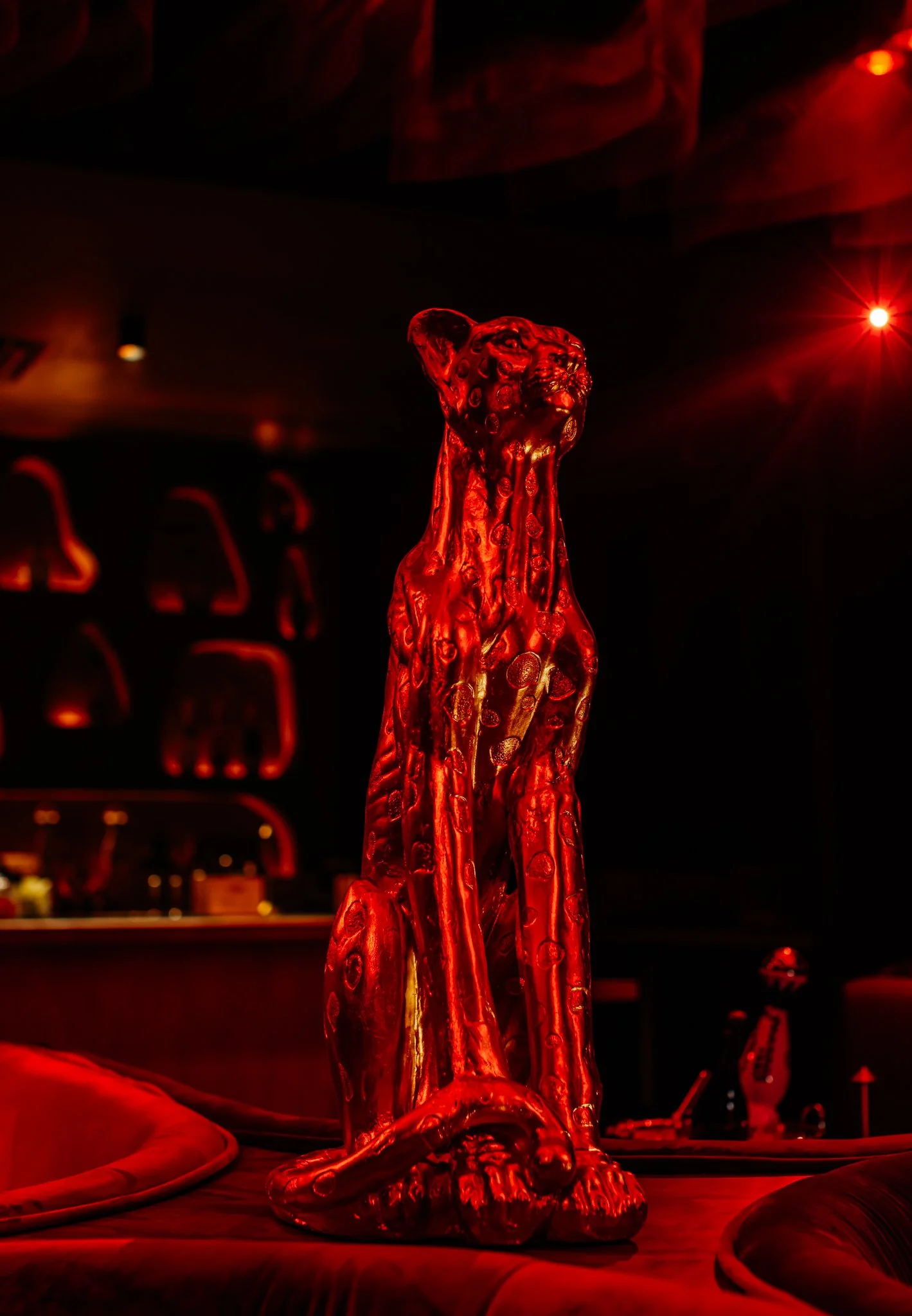 FELINA 23 April 2026 VENUE pics  (41).jpg