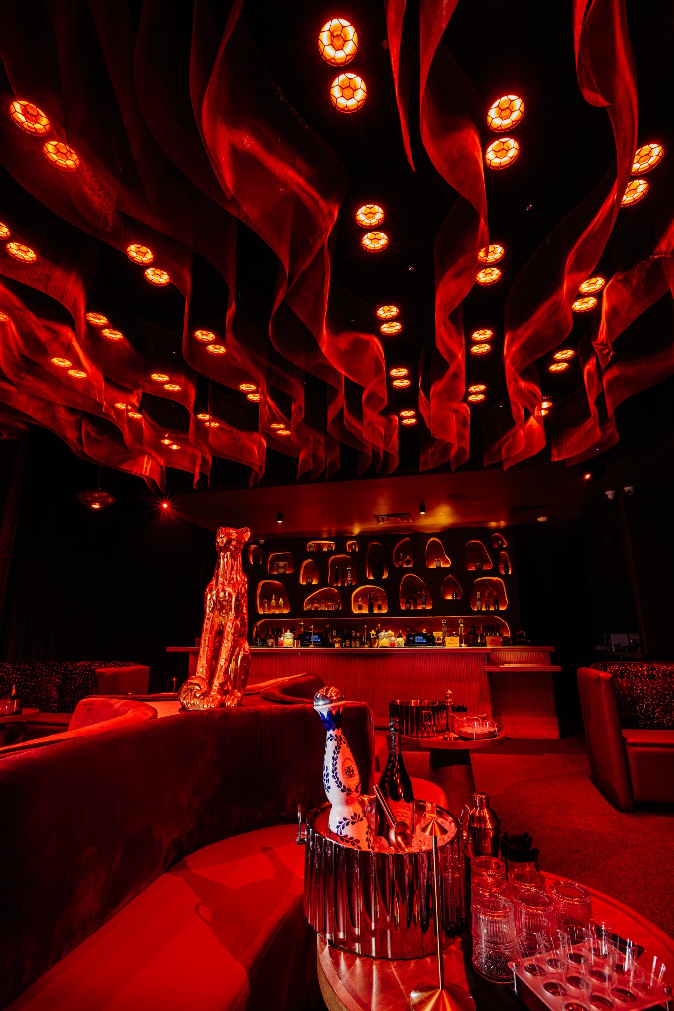 FELINA 23 April 2026 VENUE pics  (24).jpg