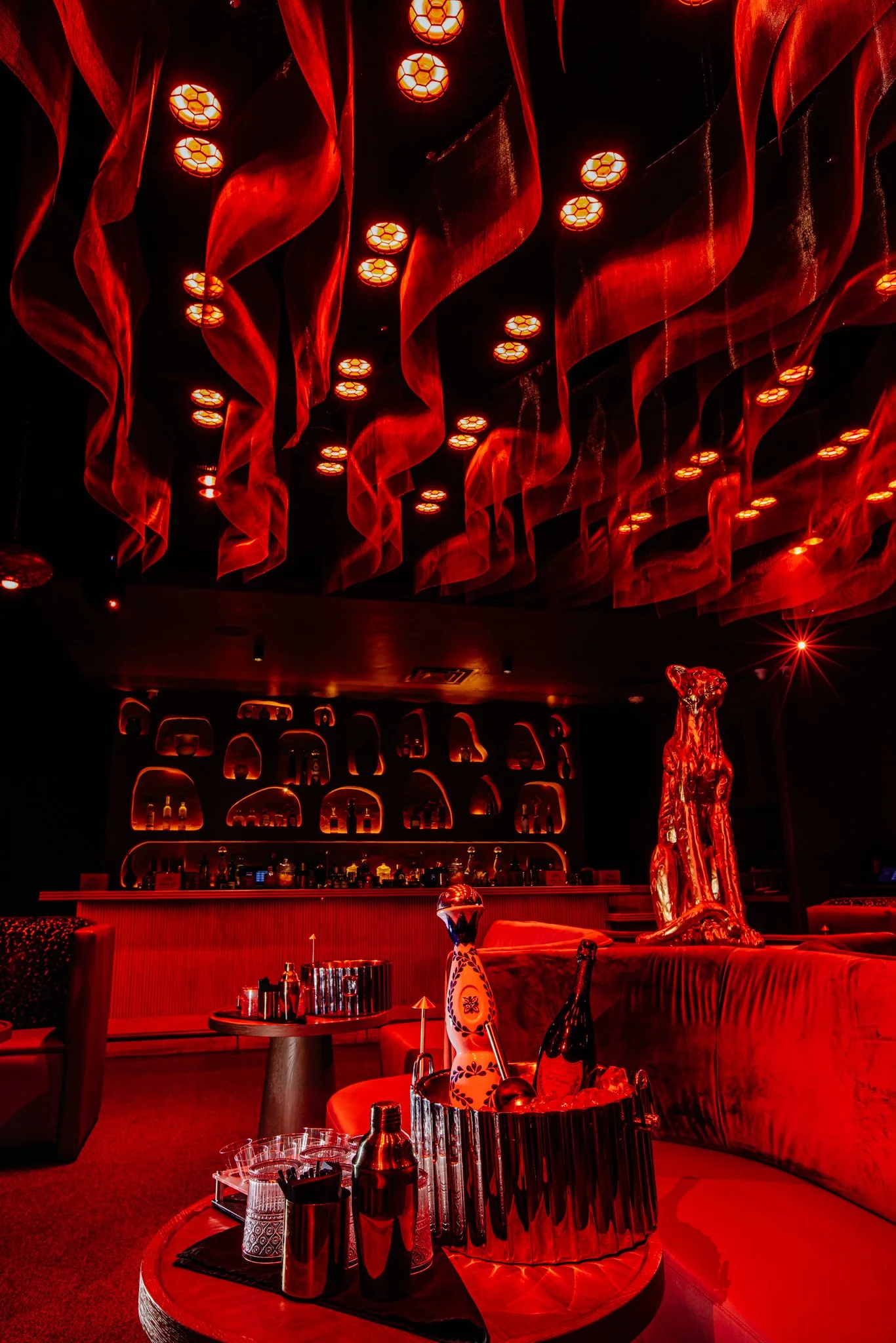 FELINA 23 April 2026 VENUE pics  (17).jpg