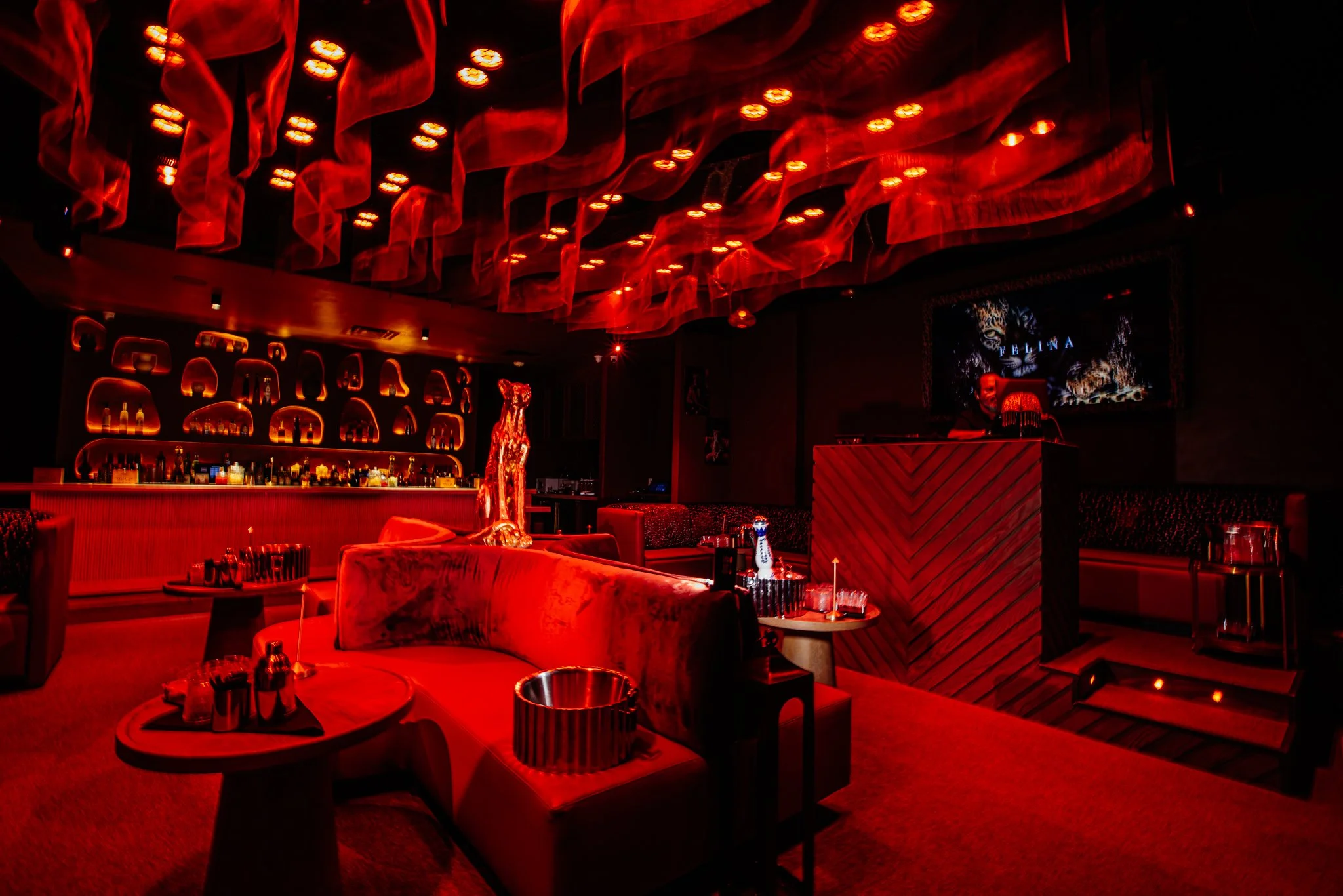 FELINA 23 April 2026 VENUE pics  (27).jpg
