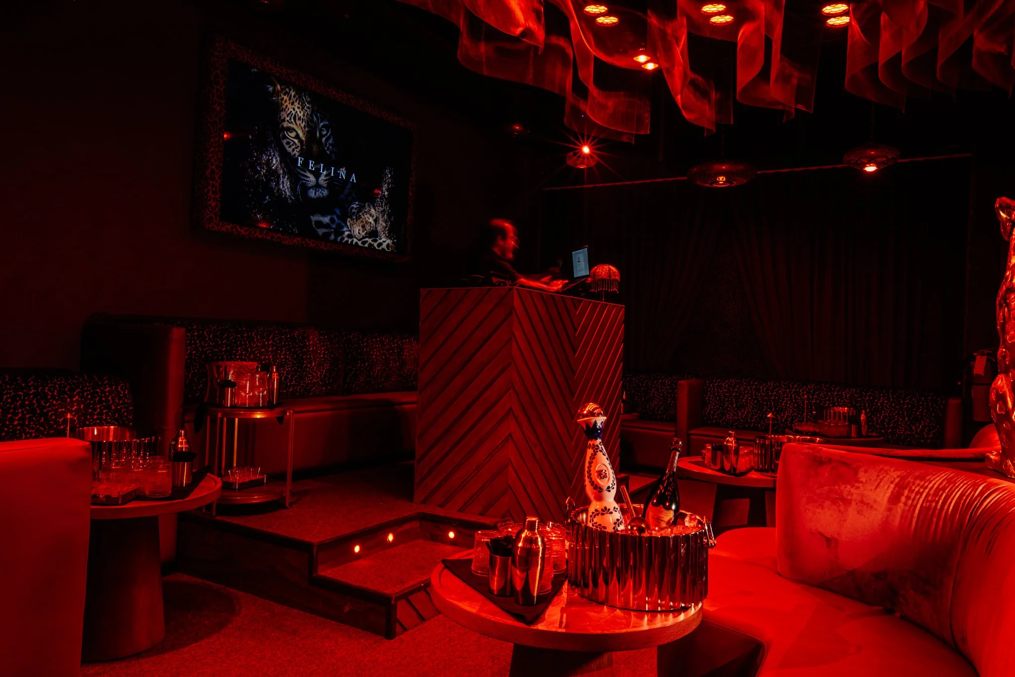 FELINA 23 April 2026 VENUE pics  (33).jpg