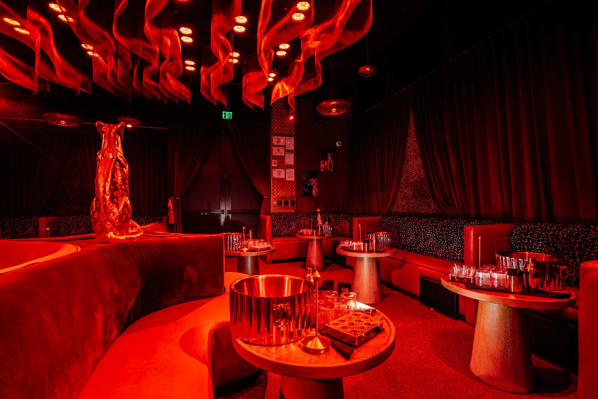 FELINA 23 April 2026 VENUE pics  (8).jpg