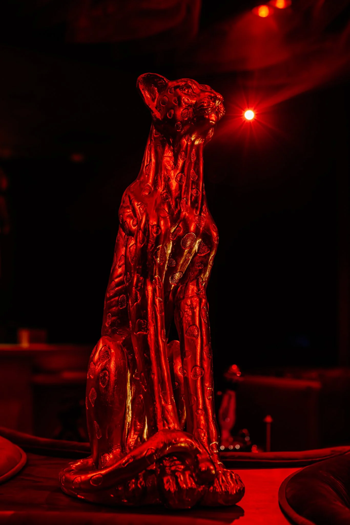 FELINA 23 April 2026 VENUE pics  (40).jpg