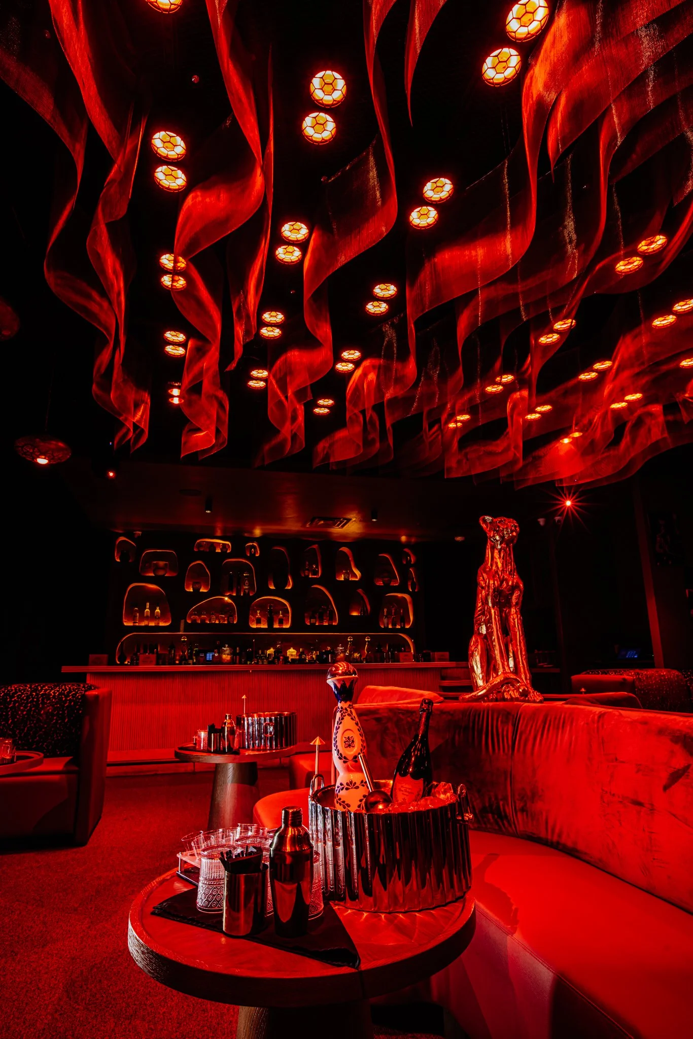 FELINA 23 April 2026 VENUE pics  (16).jpg