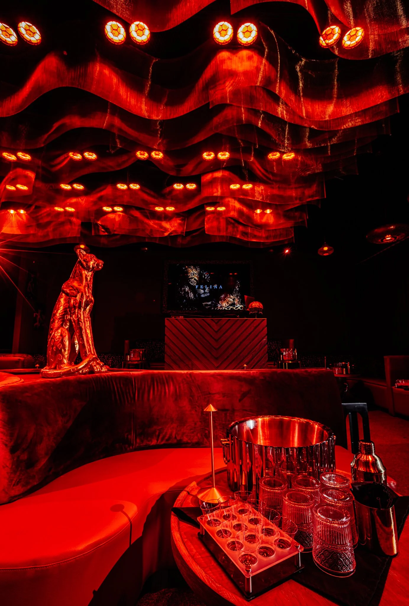 FELINA 23 April 2026 VENUE pics  (13).jpg