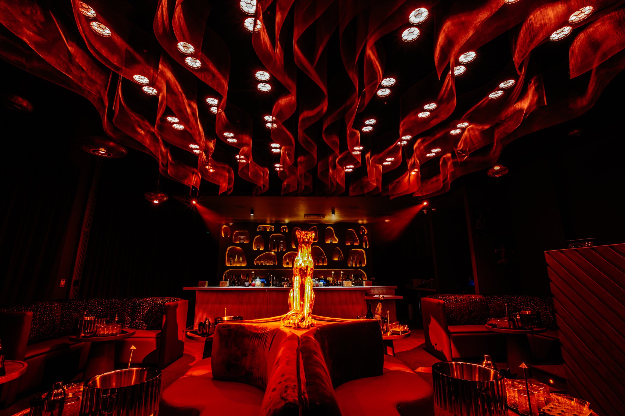 FELINA 23 April 2026 VENUE pics  (46).jpg