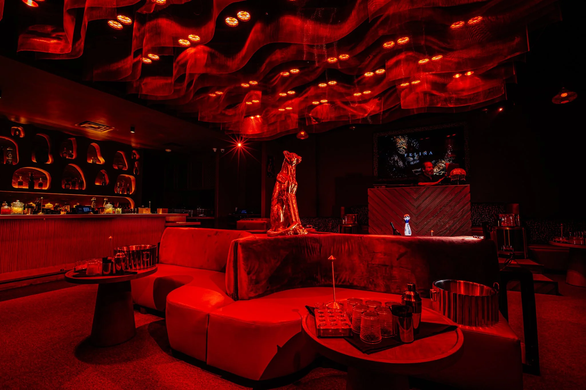 FELINA 23 April 2026 VENUE pics  (29).jpg