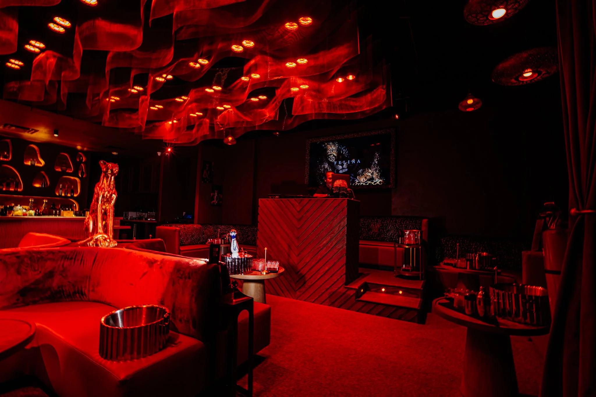 FELINA 23 April 2026 VENUE pics  (28).jpg