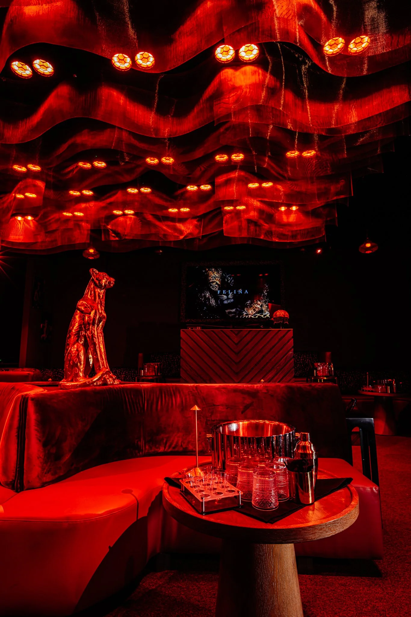 FELINA 23 April 2026 VENUE pics  (15).jpg